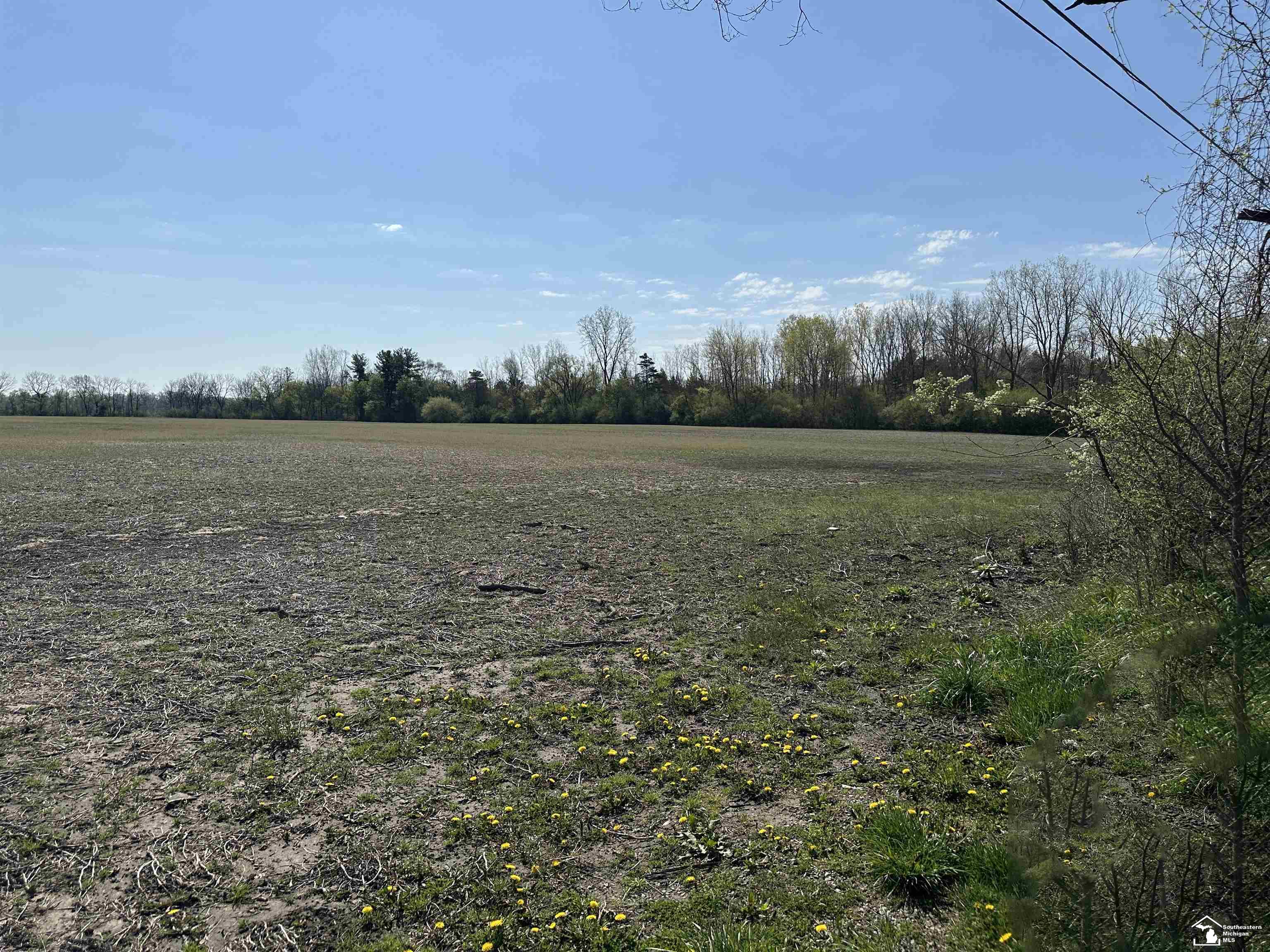 0 Jackman Road, Temperance, MI, 48182