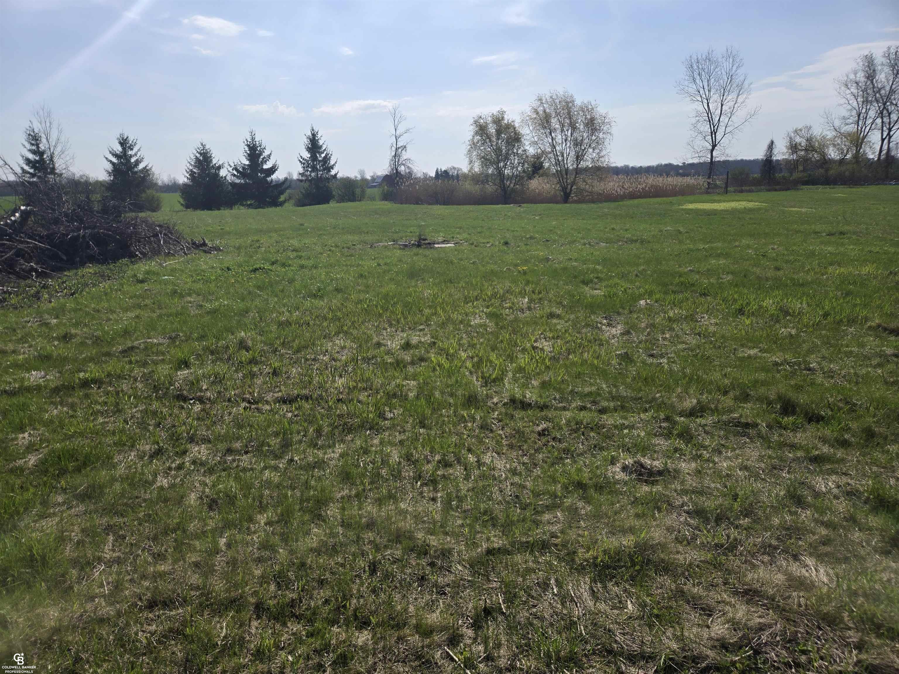 Homes for sale in Brockway Township St Clair, MI | 00 Brockway Vl Rd, Brockway Township St Clair, MI 48097 | MLS# 58050205177