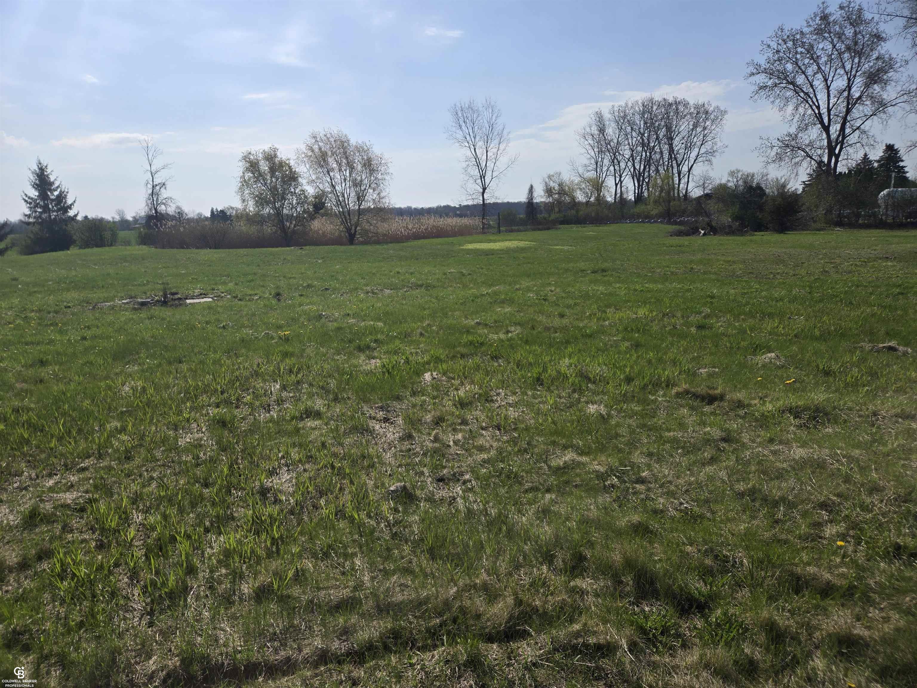 Homes for sale in Brockway Township St Clair, MI | 00 Brockway Vl Rd, Brockway Township St Clair, MI 48097 | MLS# 58050205177
