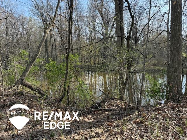 244 W Burnside Road, Fostoria, MI, 48435