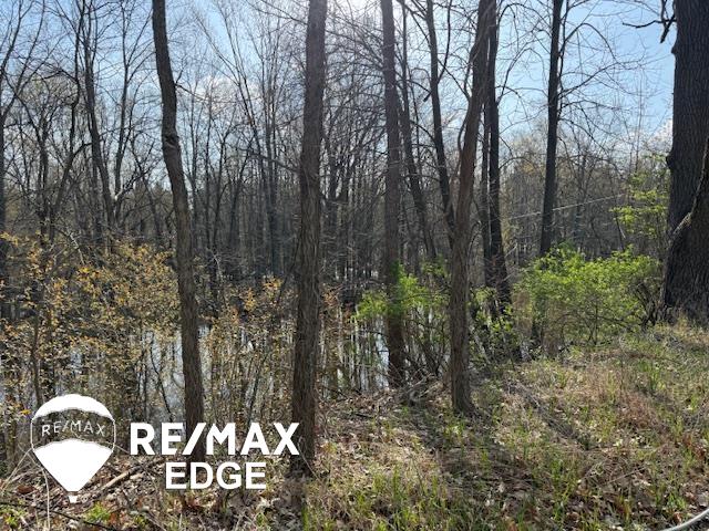 244 W Burnside Road, Fostoria, MI, 48435