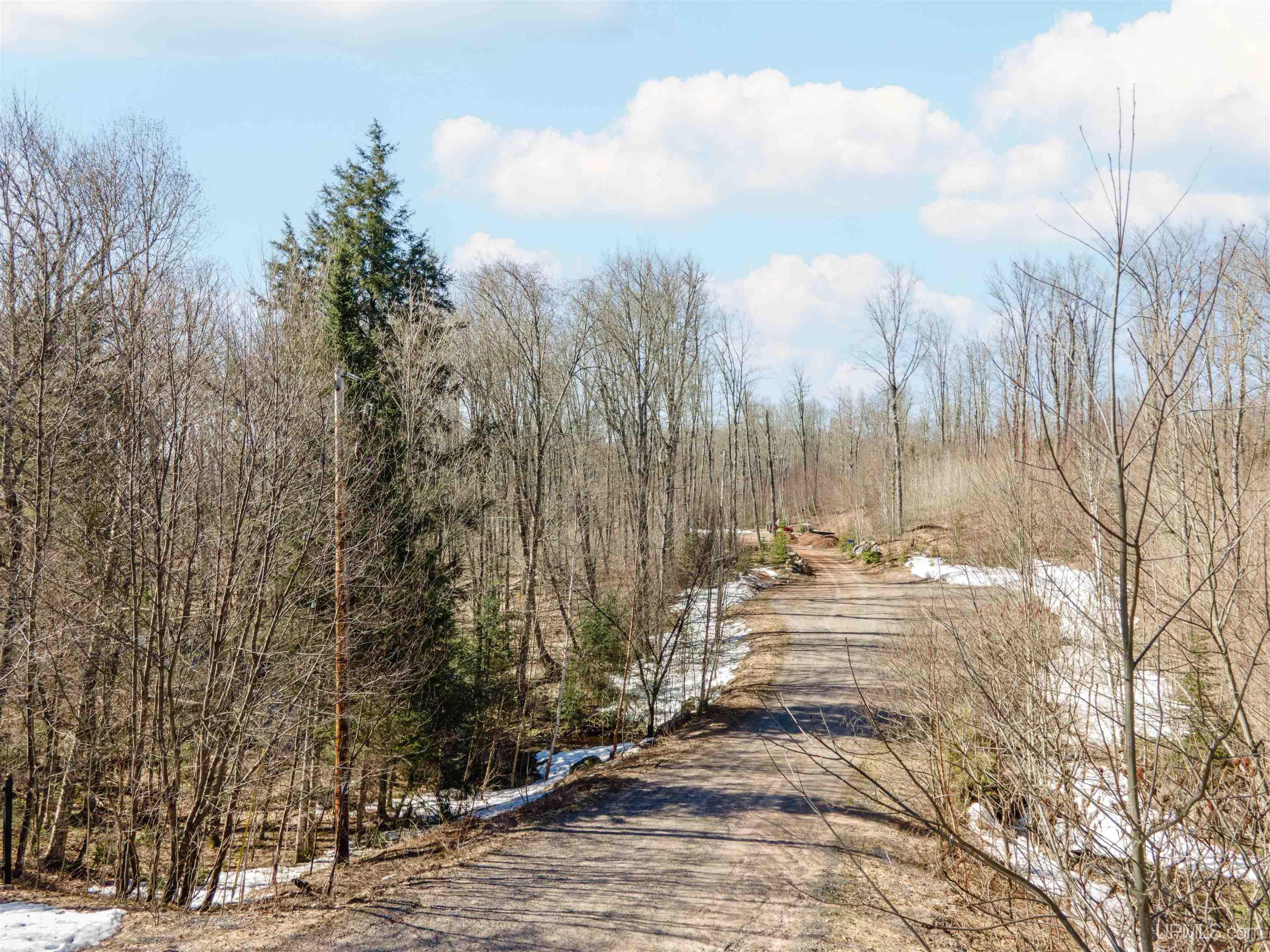 Tamarack Lk Road, Watersmeet, MI, 49969