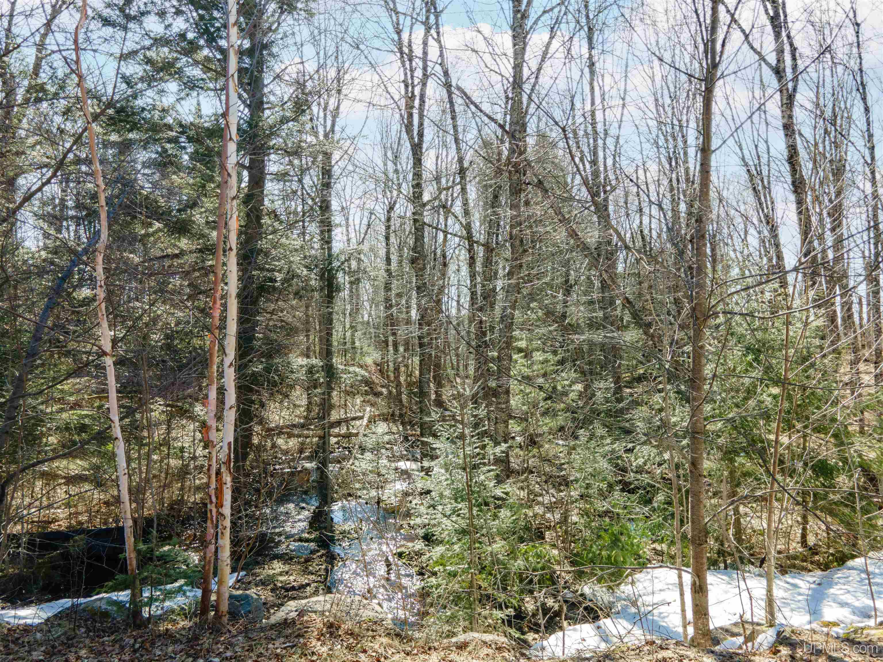 Tamarack Lk Road, Watersmeet, MI, 49969