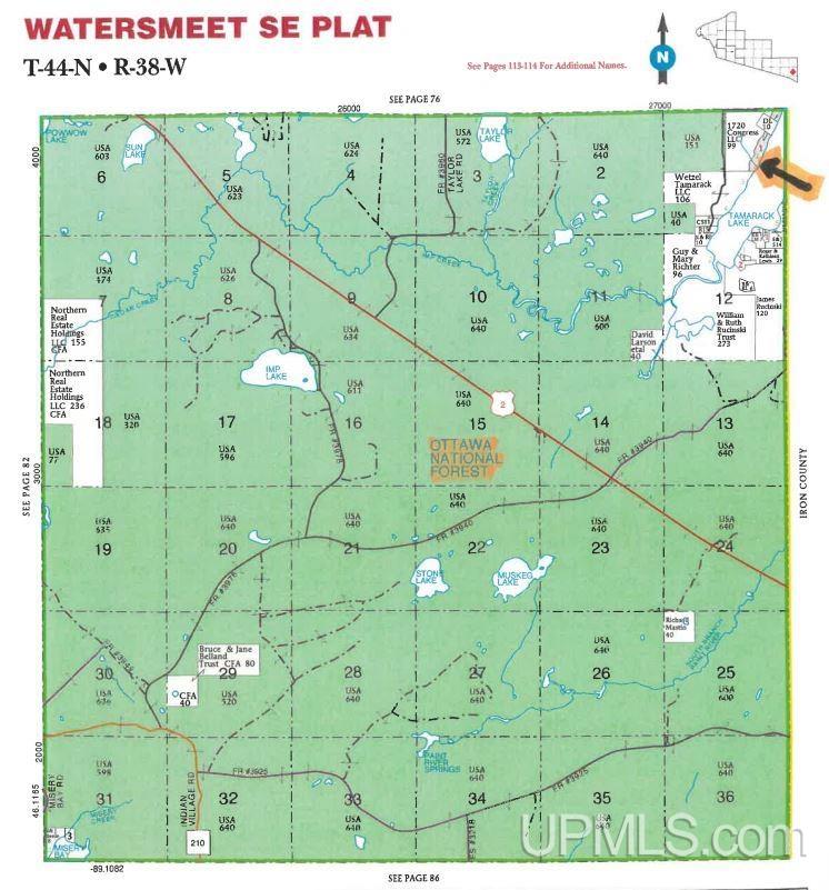 Tamarack Lk Road, Watersmeet, MI, 49969
