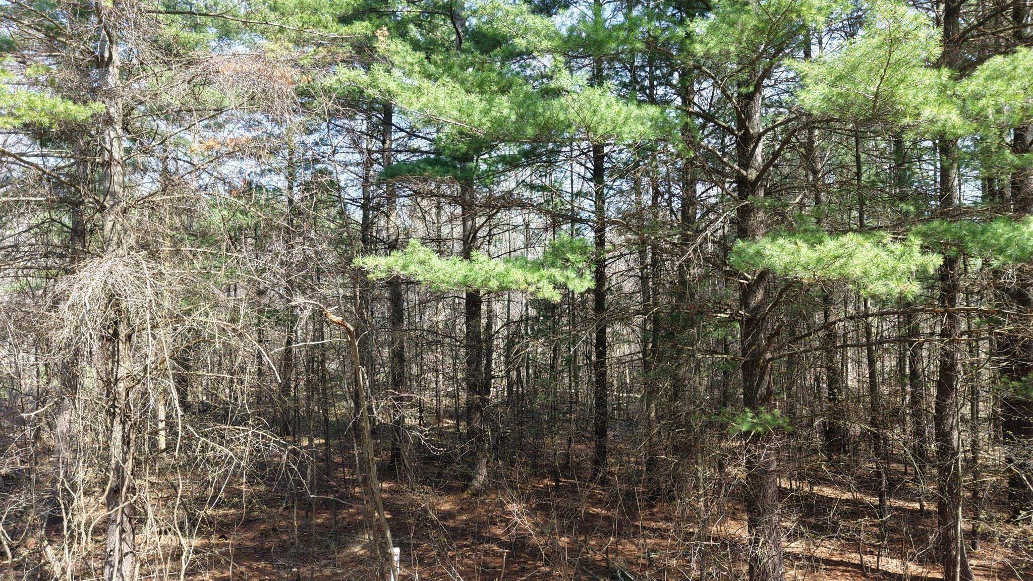 30 Heideldorf Drive, Bellaire, MI, 49615