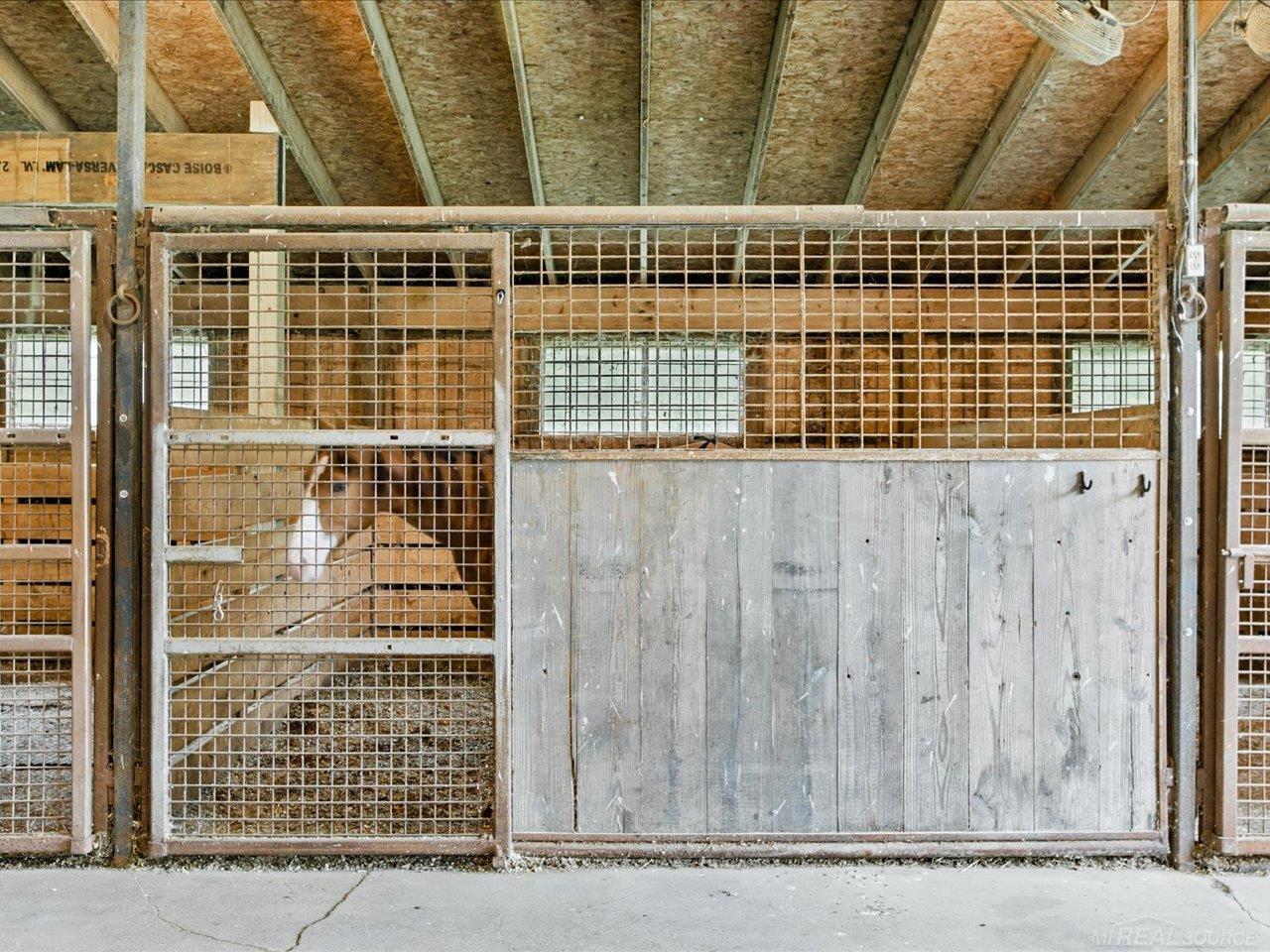 13485 S Block Road, Birch Run, MI, 48415