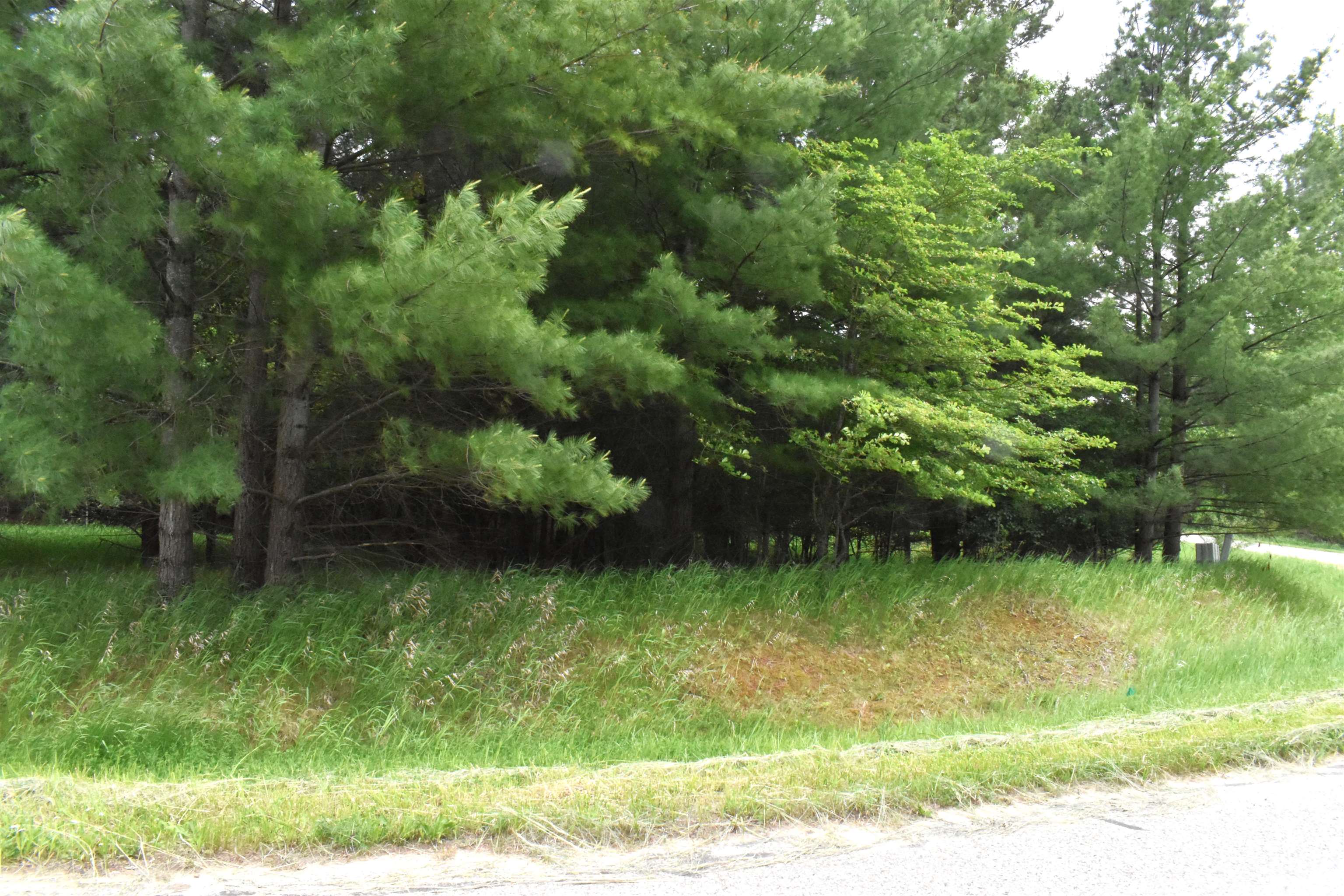 Lot 155 Robinhood Way, Gladwin, MI, 48624