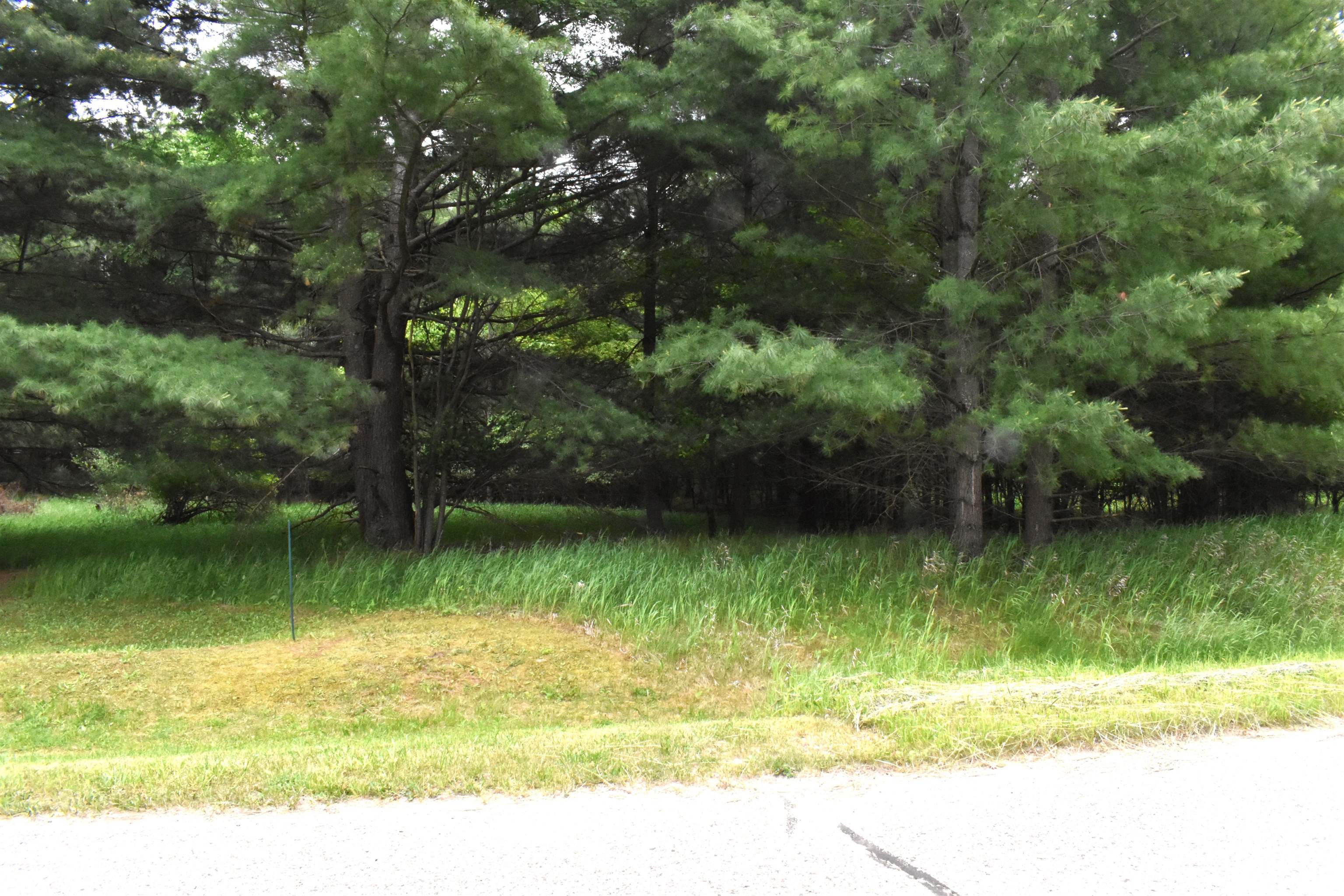 Lot 155 Robinhood Way, Gladwin, MI, 48624
