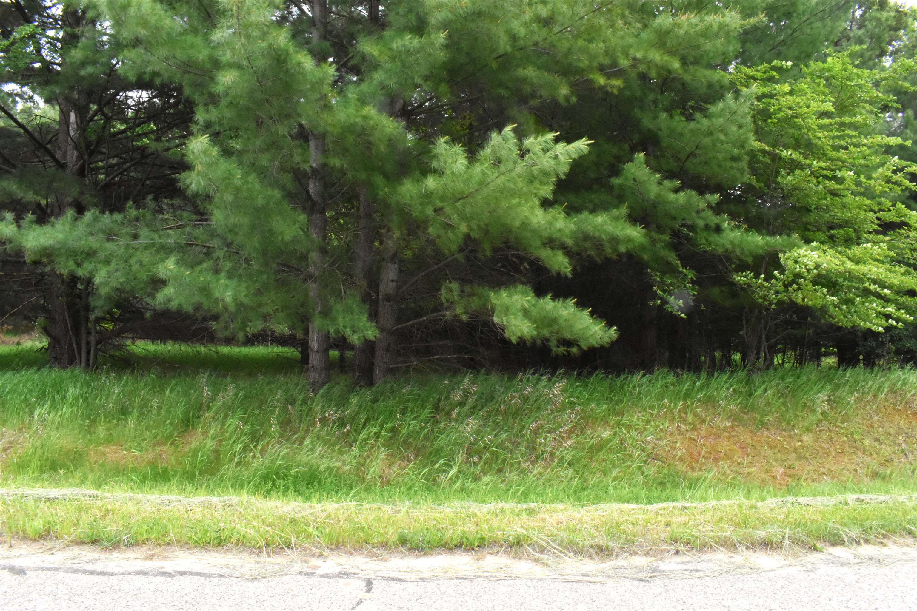 Lot 155 Robinhood Way, Gladwin, MI, 48624
