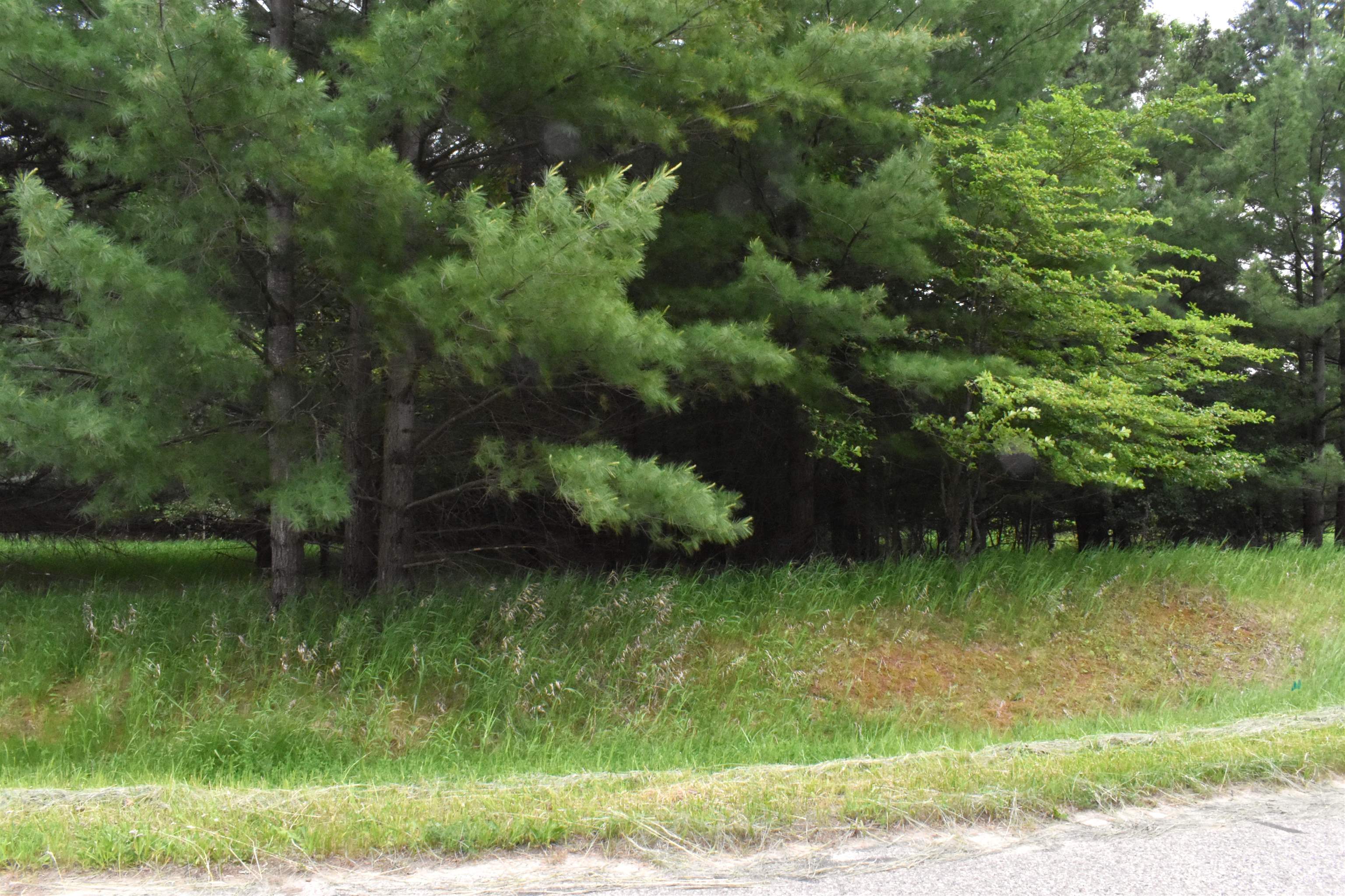 Lot 155 Robinhood Way, Gladwin, MI, 48624