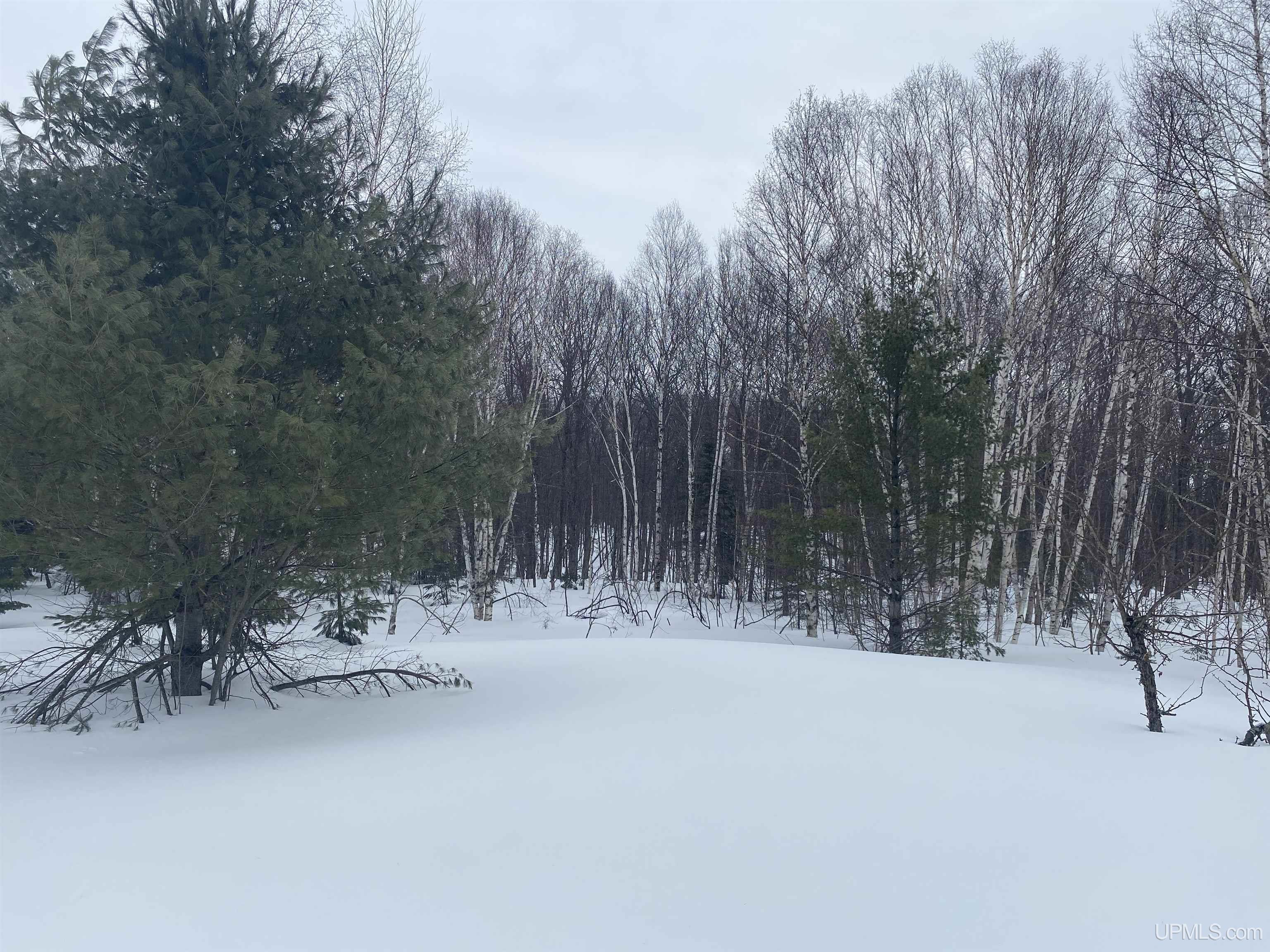 24220 Woodland Road, Calumet, MI, 49913