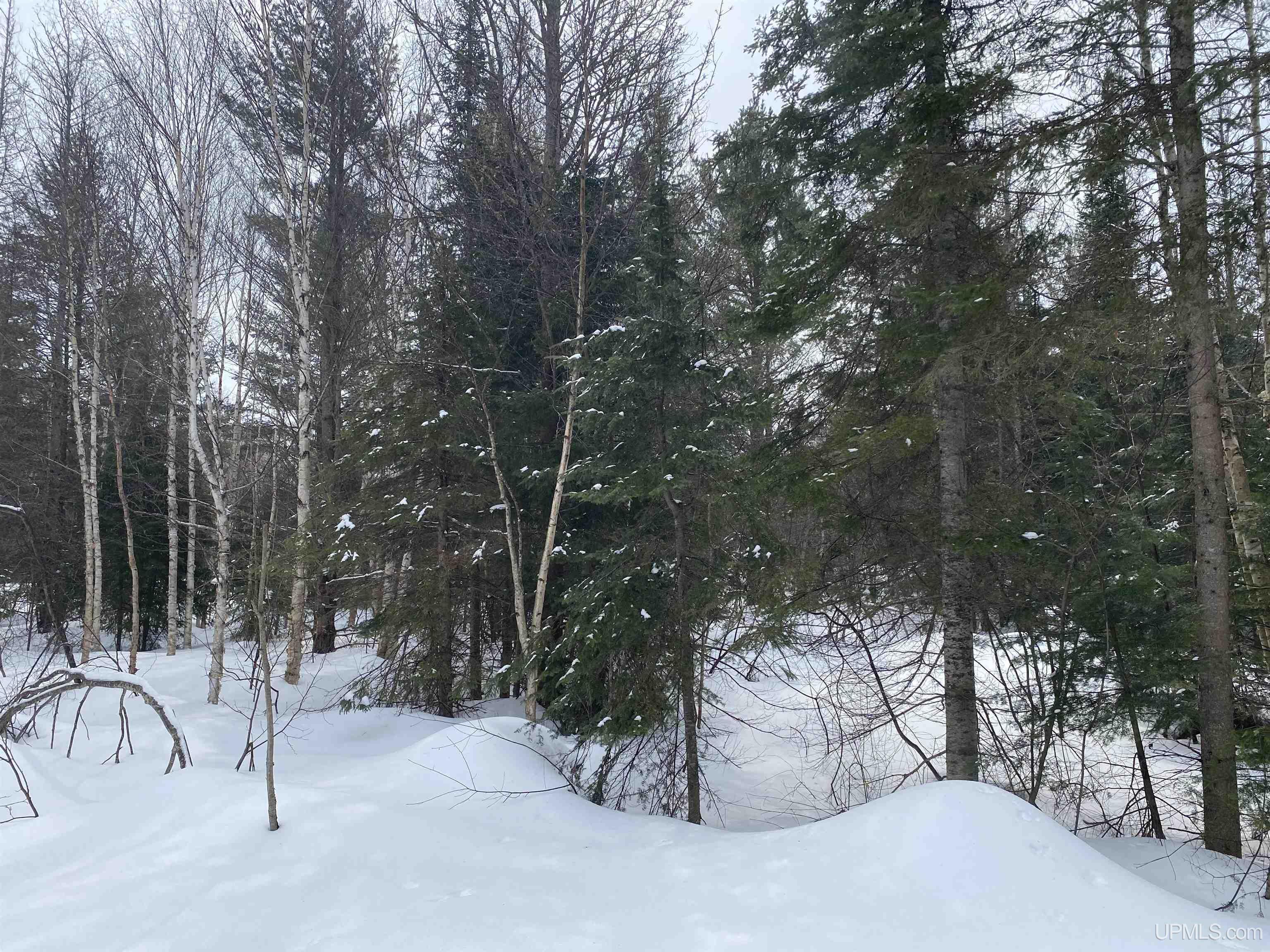 24220 Woodland Road, Calumet, MI, 49913