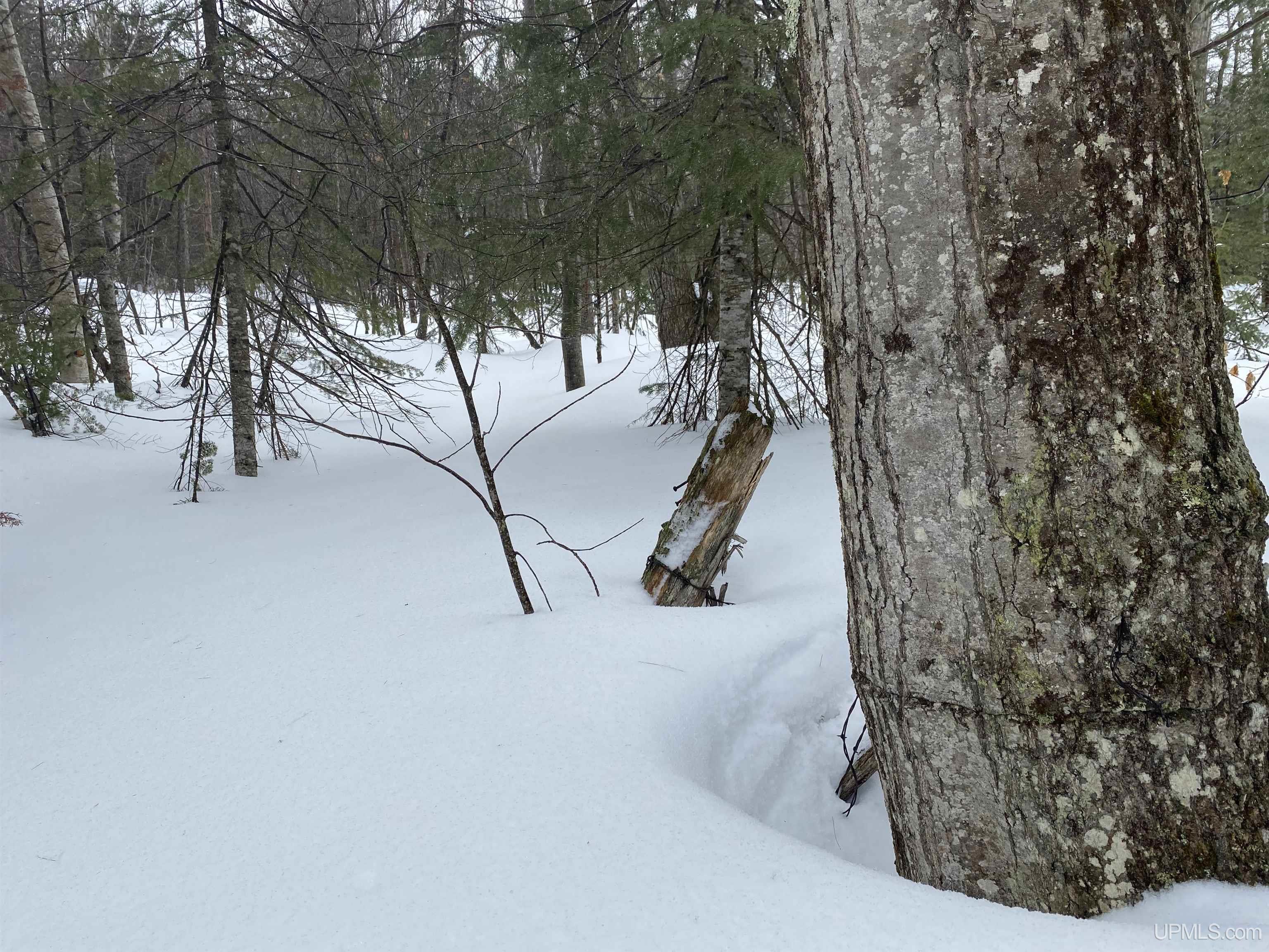 24220 Woodland Road, Calumet, MI, 49913