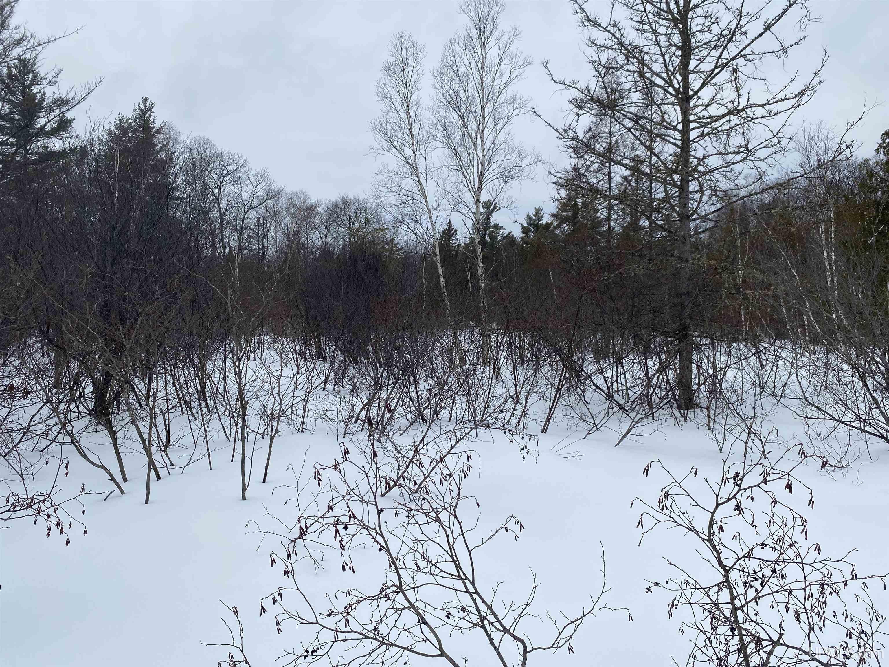 24220 Woodland Road, Calumet, MI, 49913