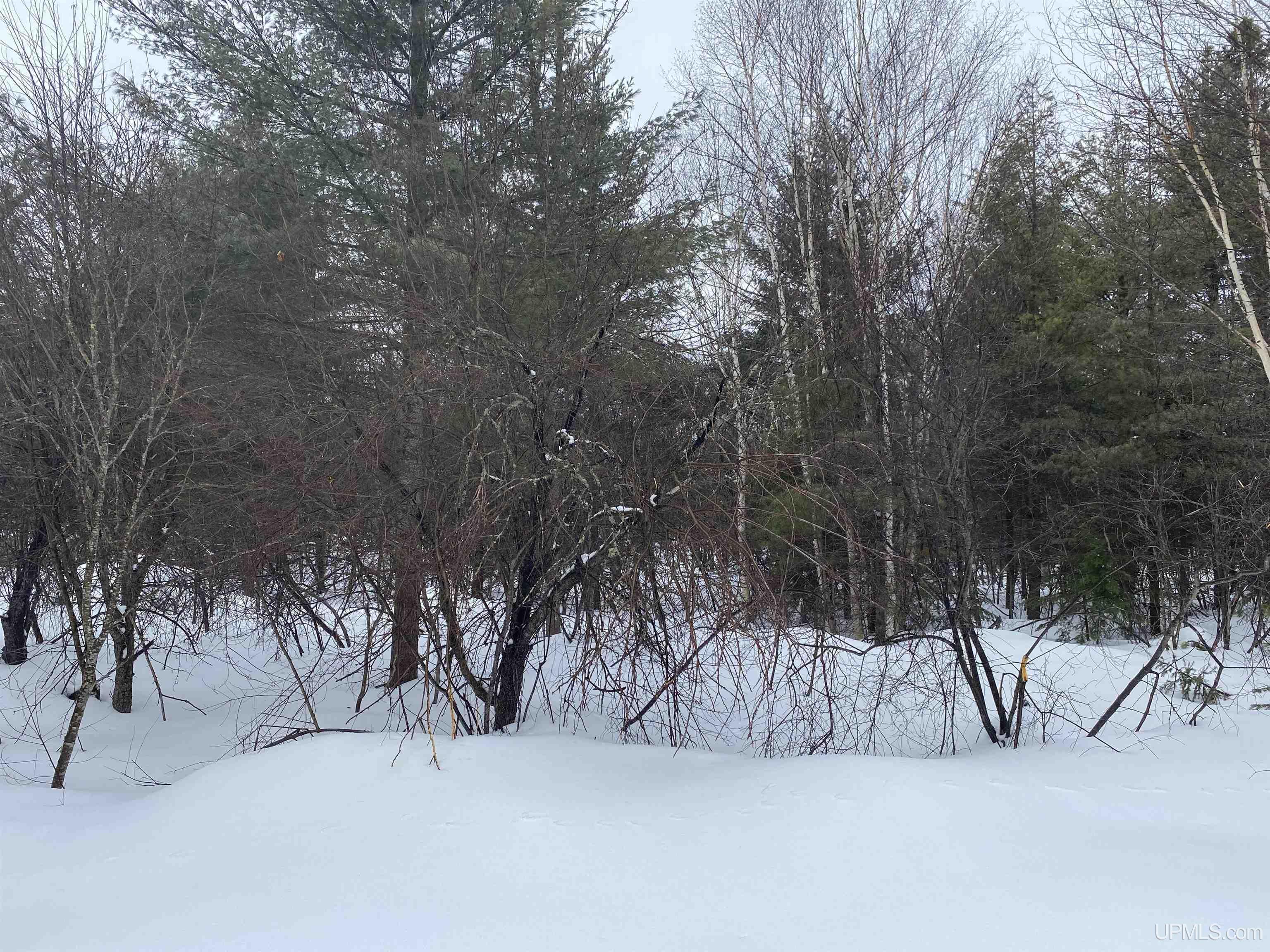 24220 Woodland Road, Calumet, MI, 49913