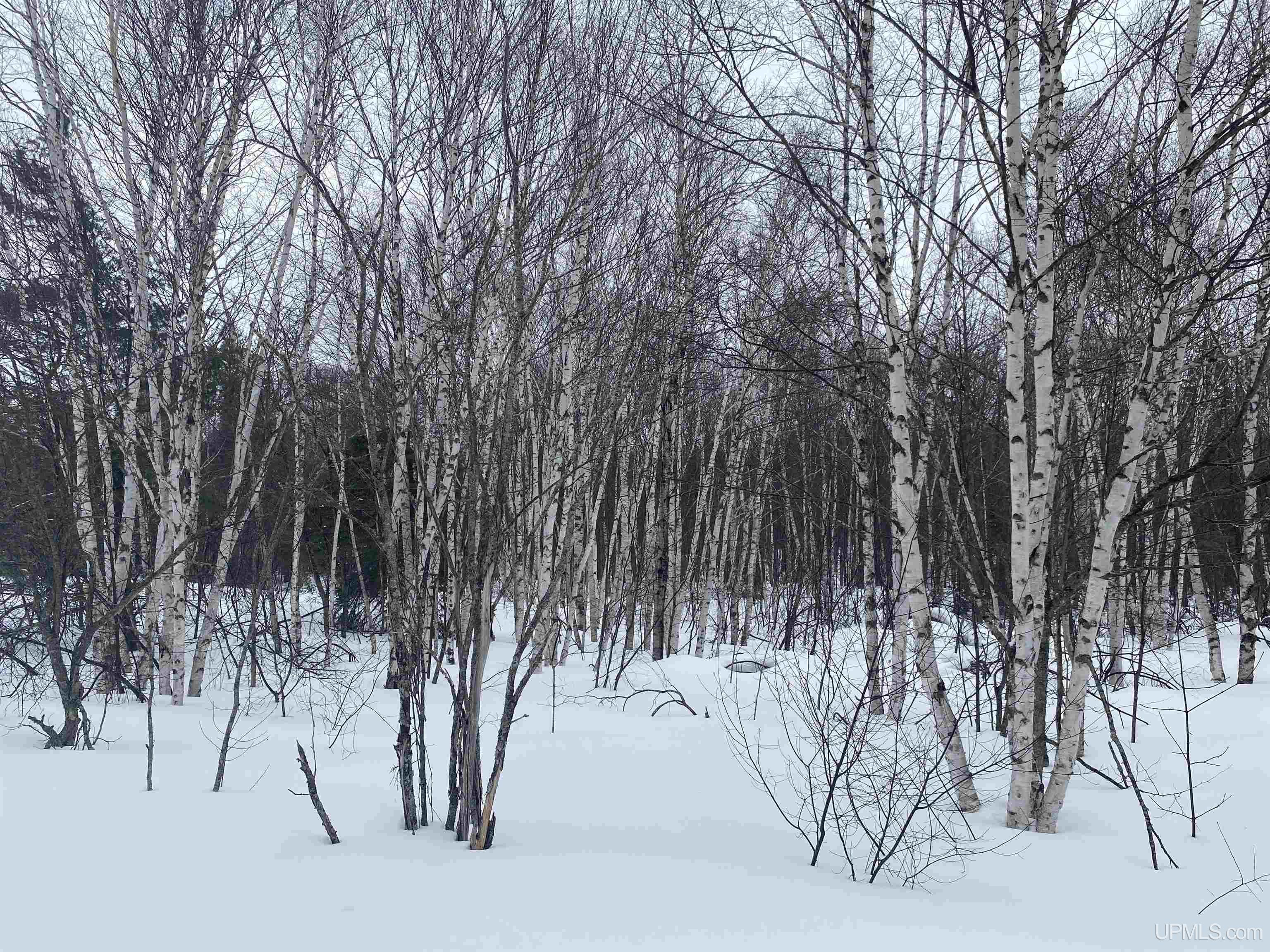 24220 Woodland Road, Calumet, MI, 49913