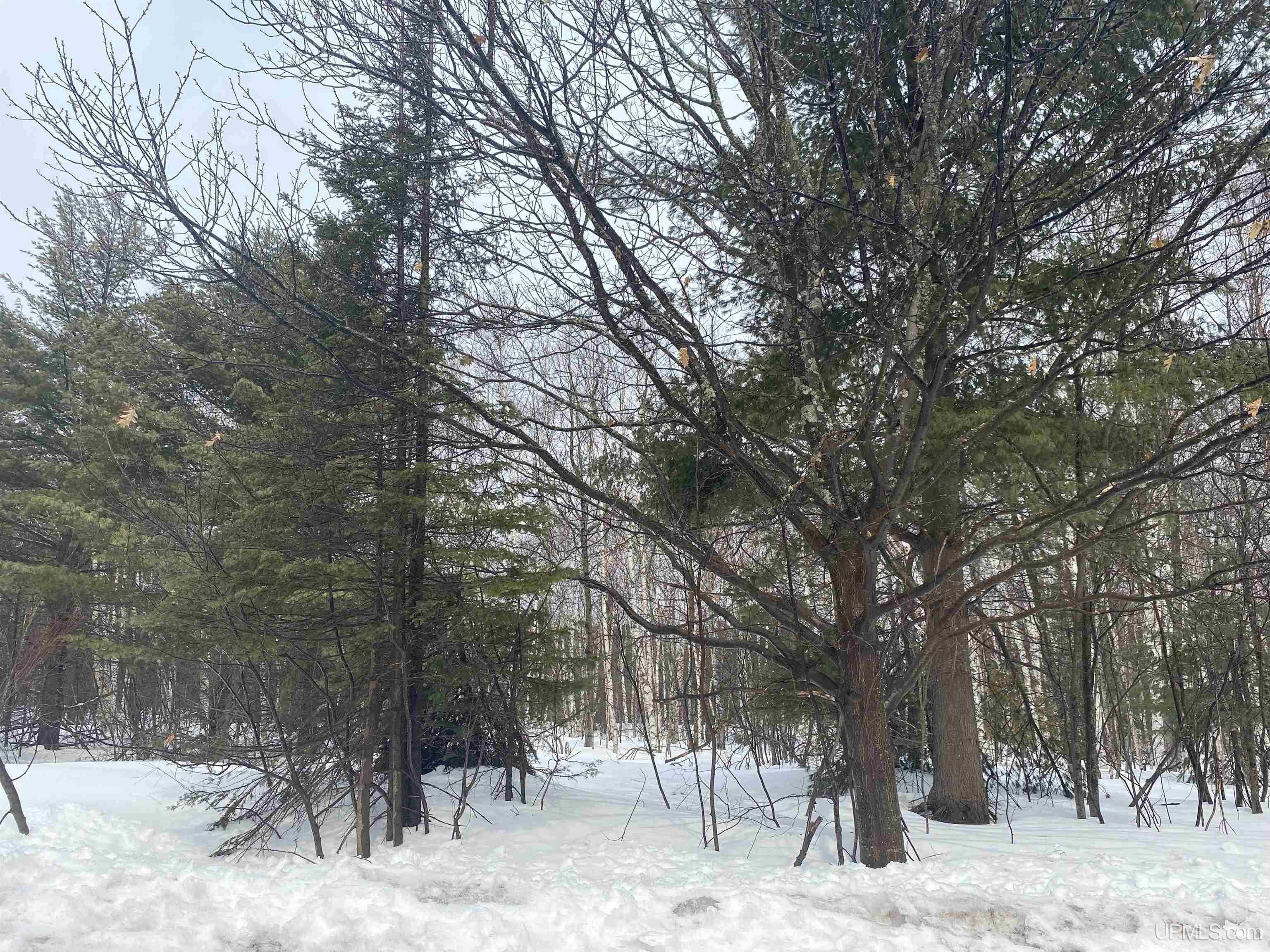 24220 Woodland Road, Calumet, MI, 49913