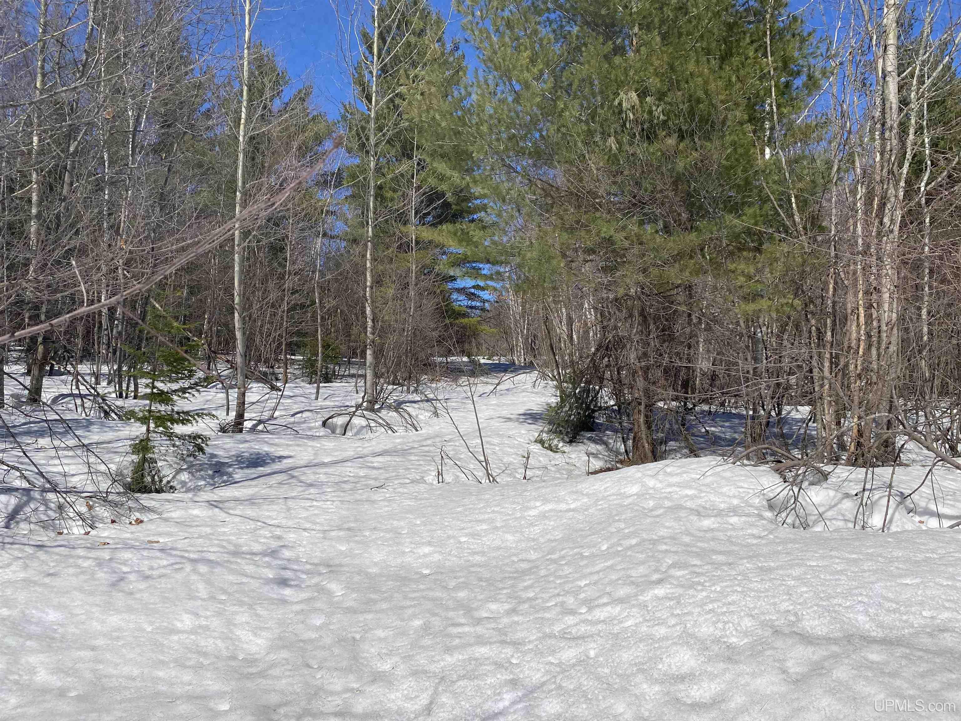 24220 Woodland Road, Calumet, MI, 49913