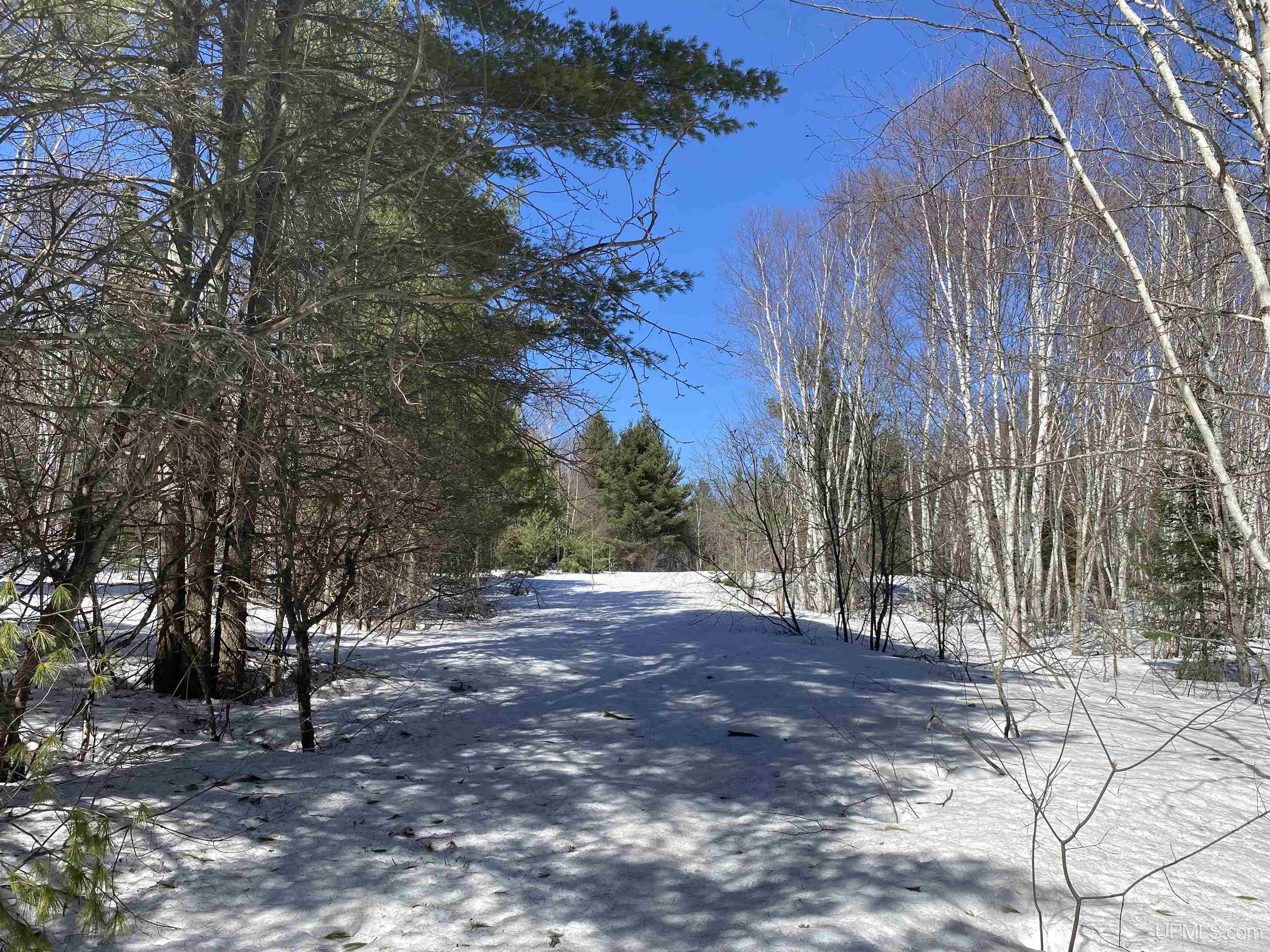 24220 Woodland Road, Calumet, MI, 49913