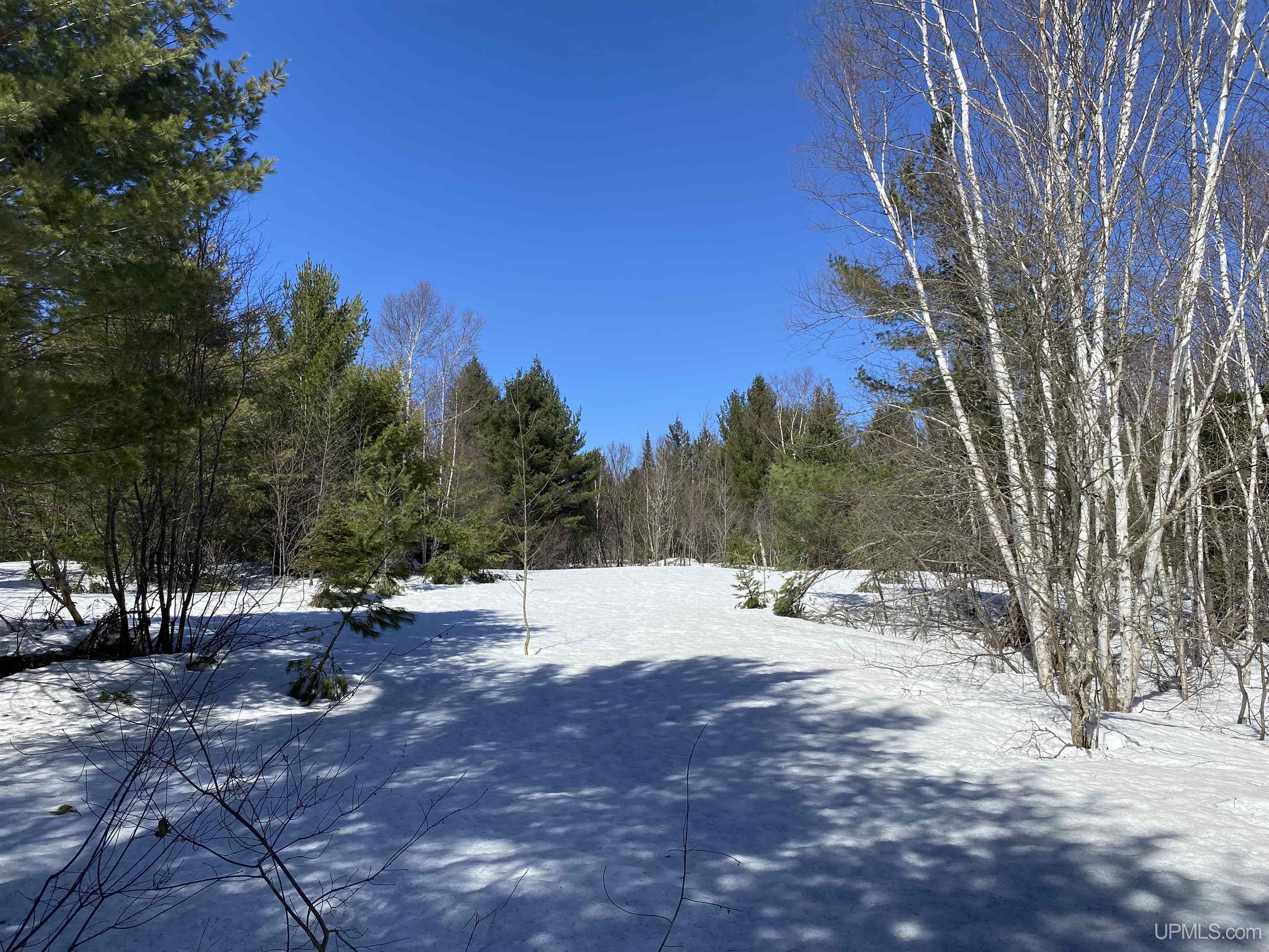 24220 Woodland Road, Calumet, MI, 49913