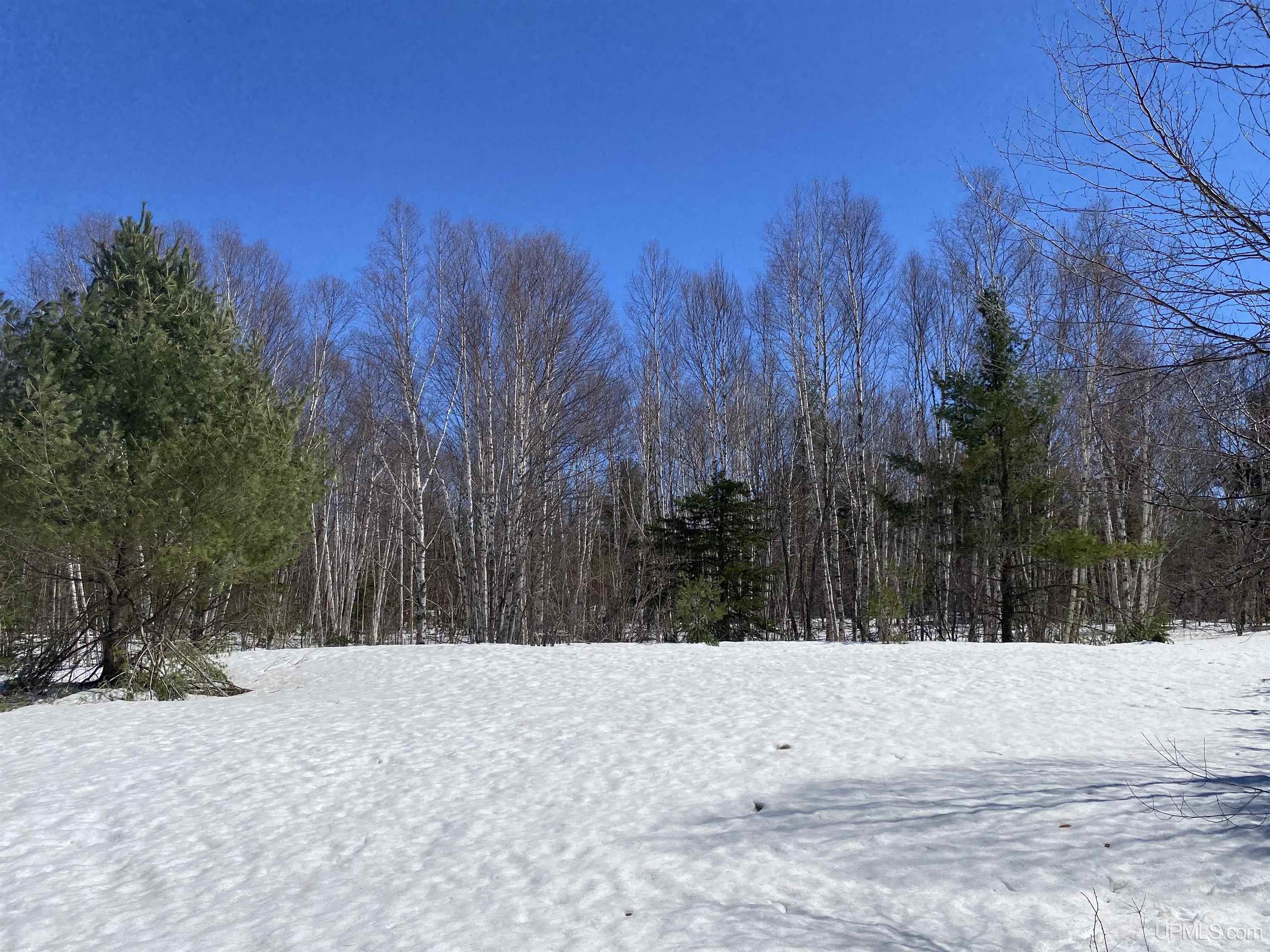 24220 Woodland Road, Calumet, MI, 49913