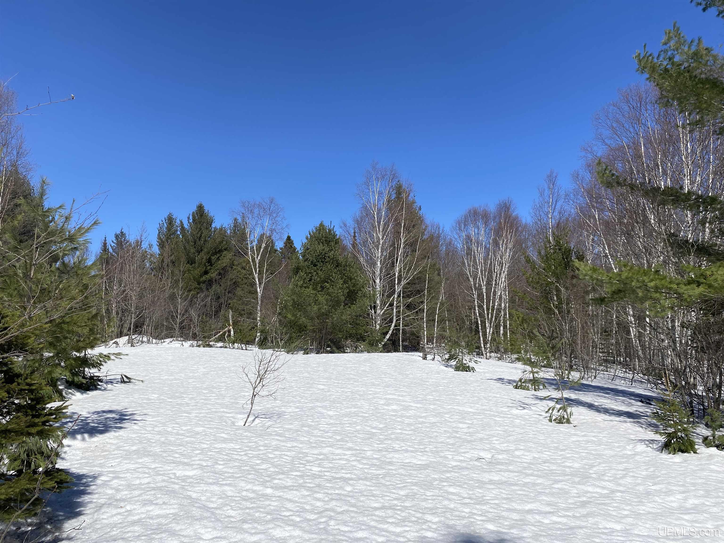 24220 Woodland Road, Calumet, MI, 49913