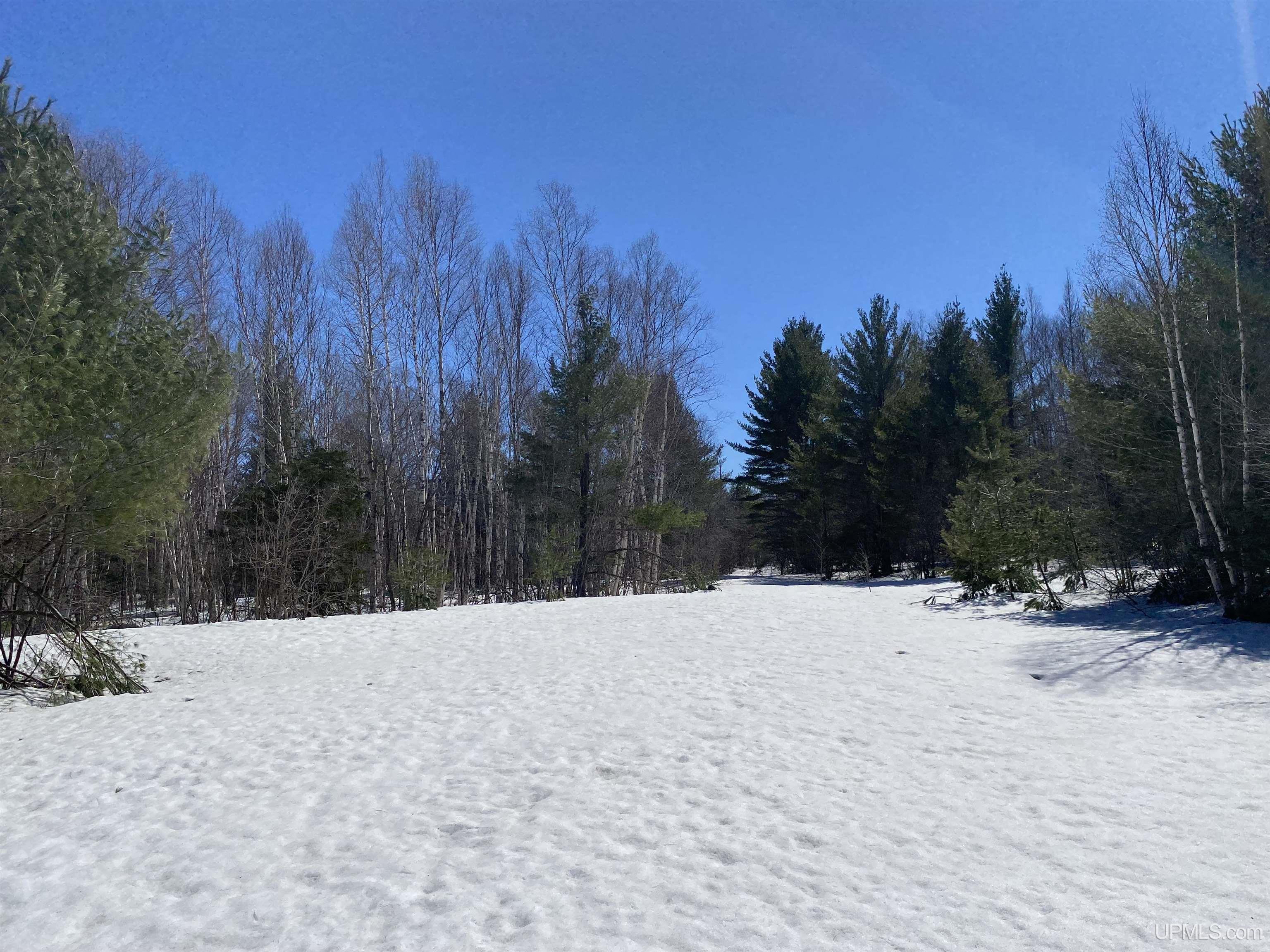 24220 Woodland Road, Calumet, MI, 49913