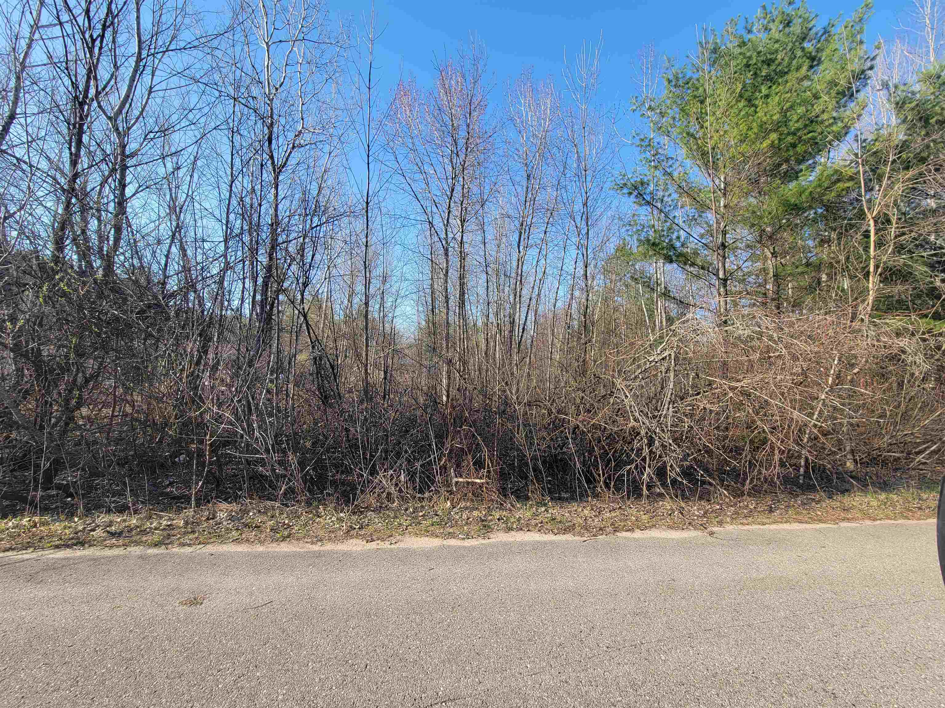 VL Maple Street, Gladwin, MI, 48624