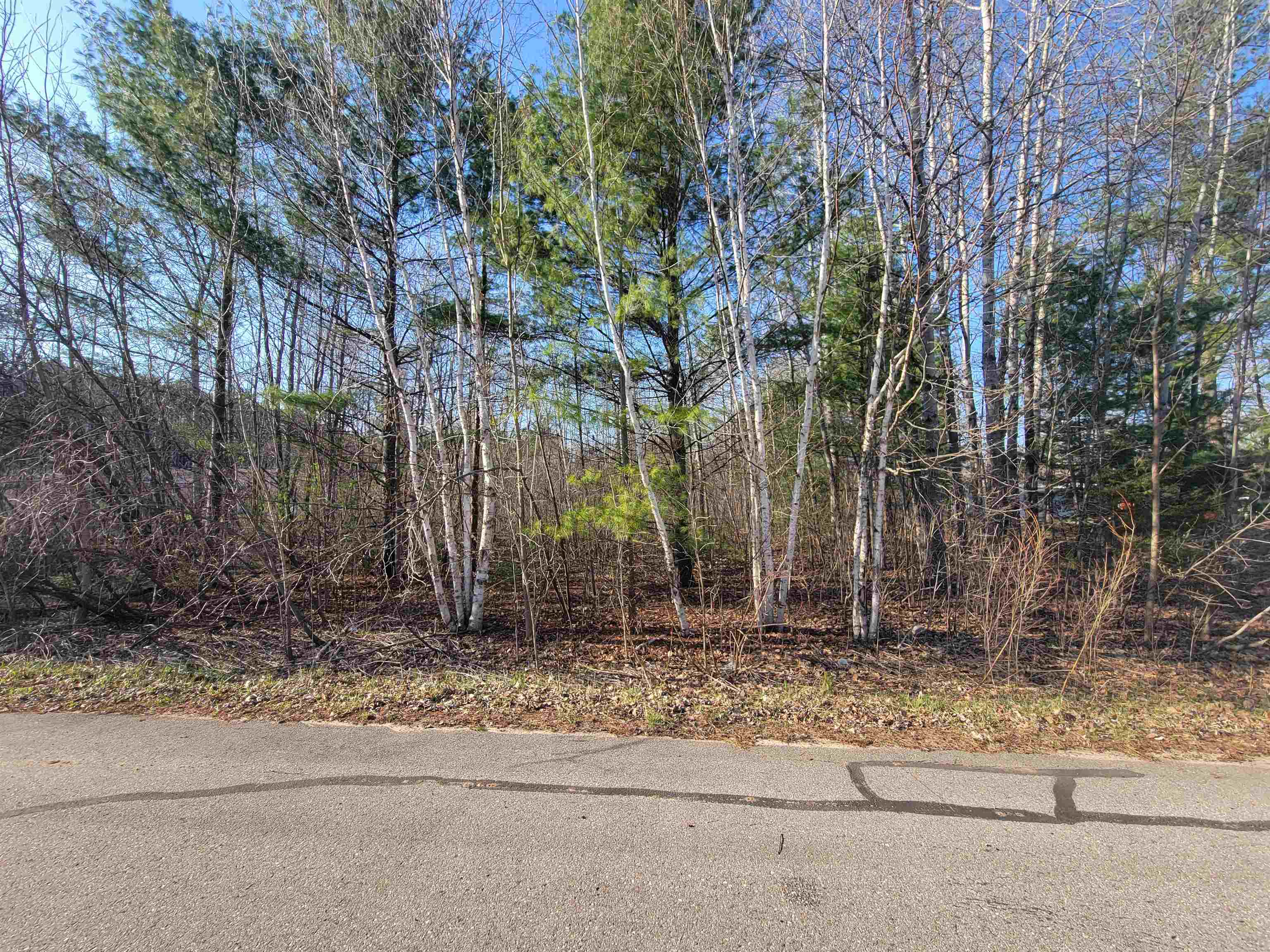VL Maple Street, Gladwin, MI, 48624