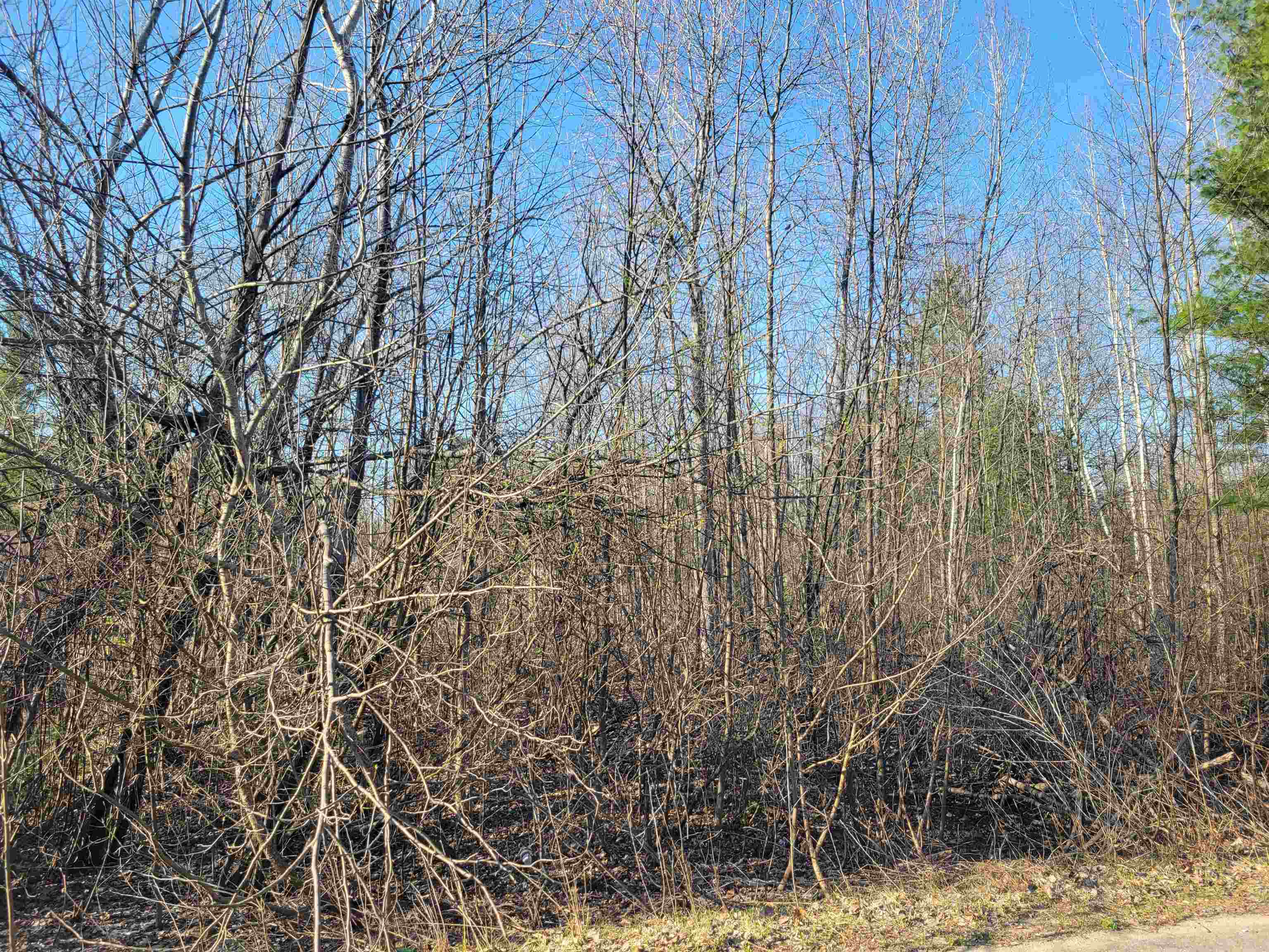VL Maple Street, Gladwin, MI, 48624