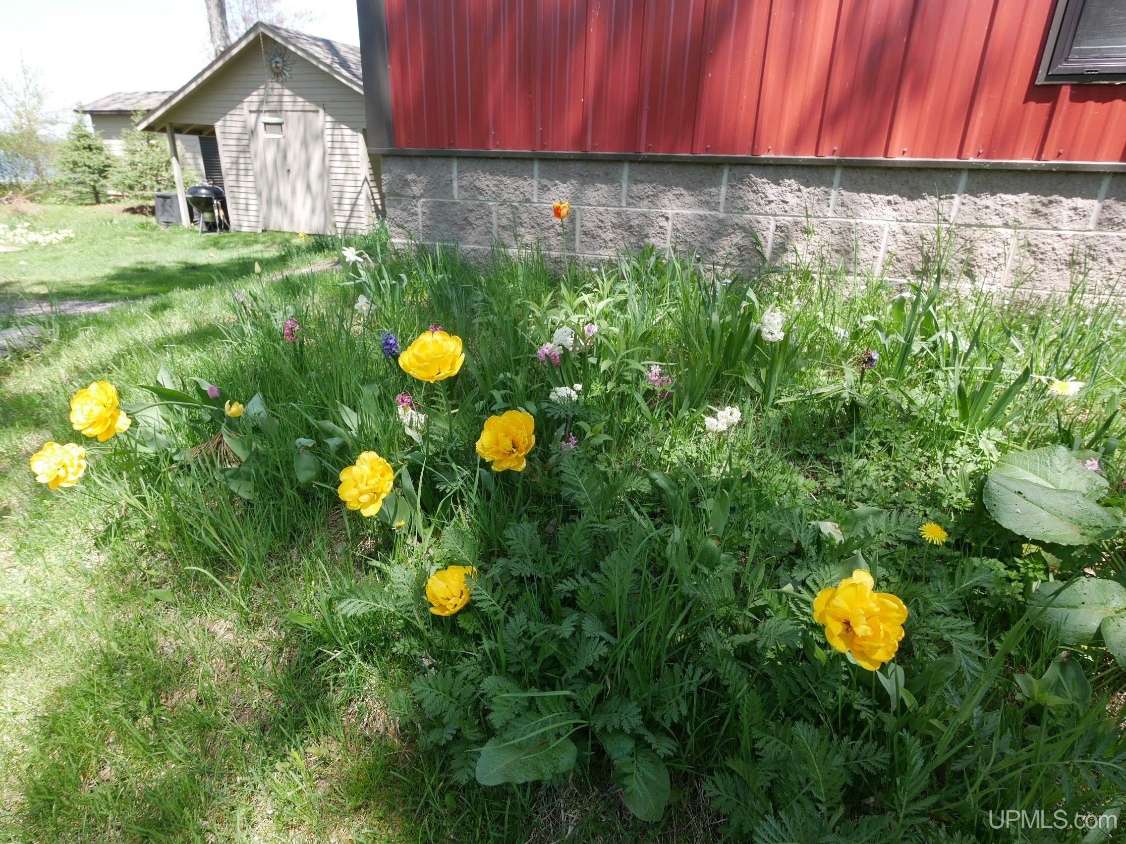 MLS 50205481 Large photo number 81 