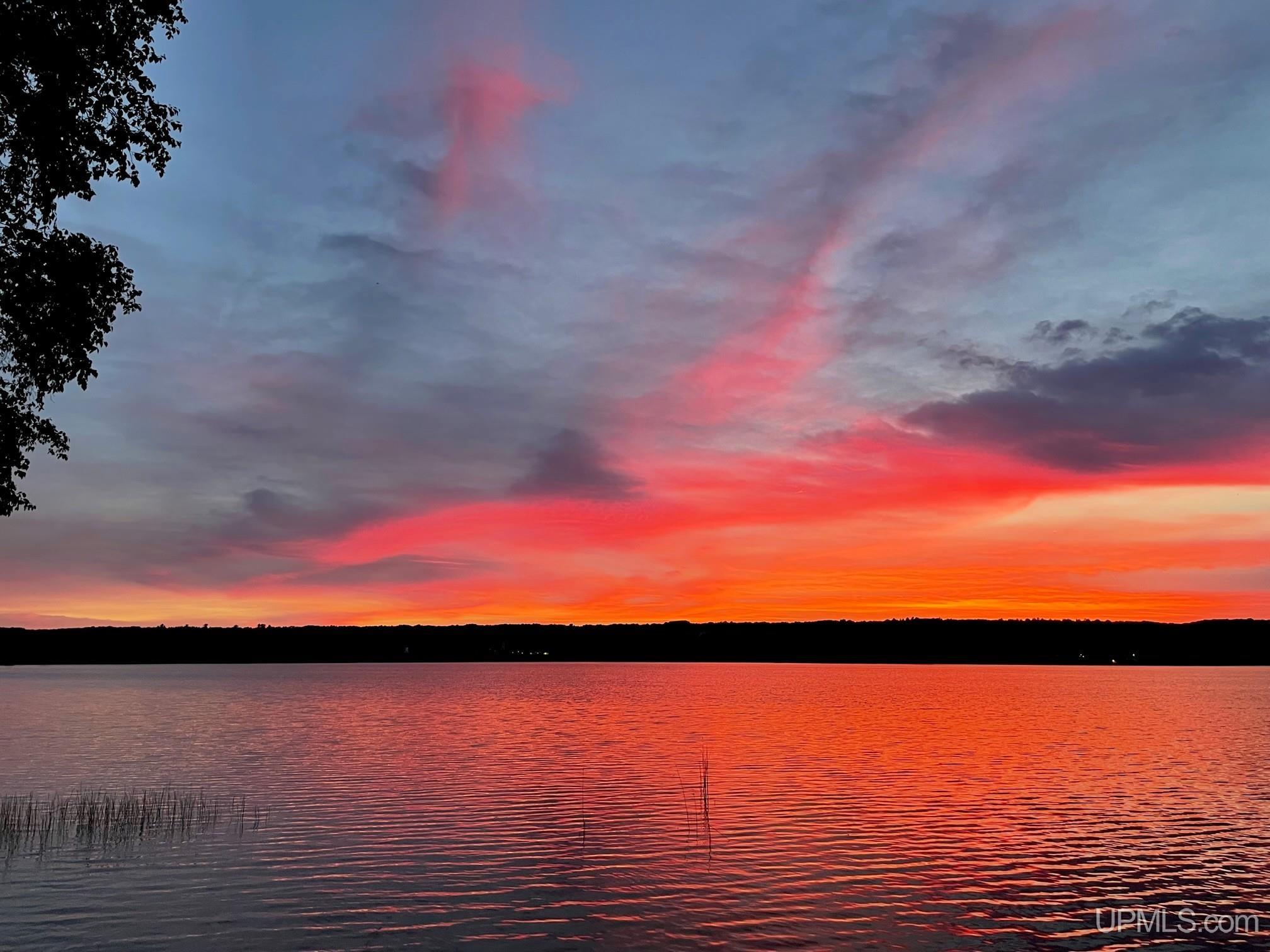 MLS 50205481 Large photo number 93 