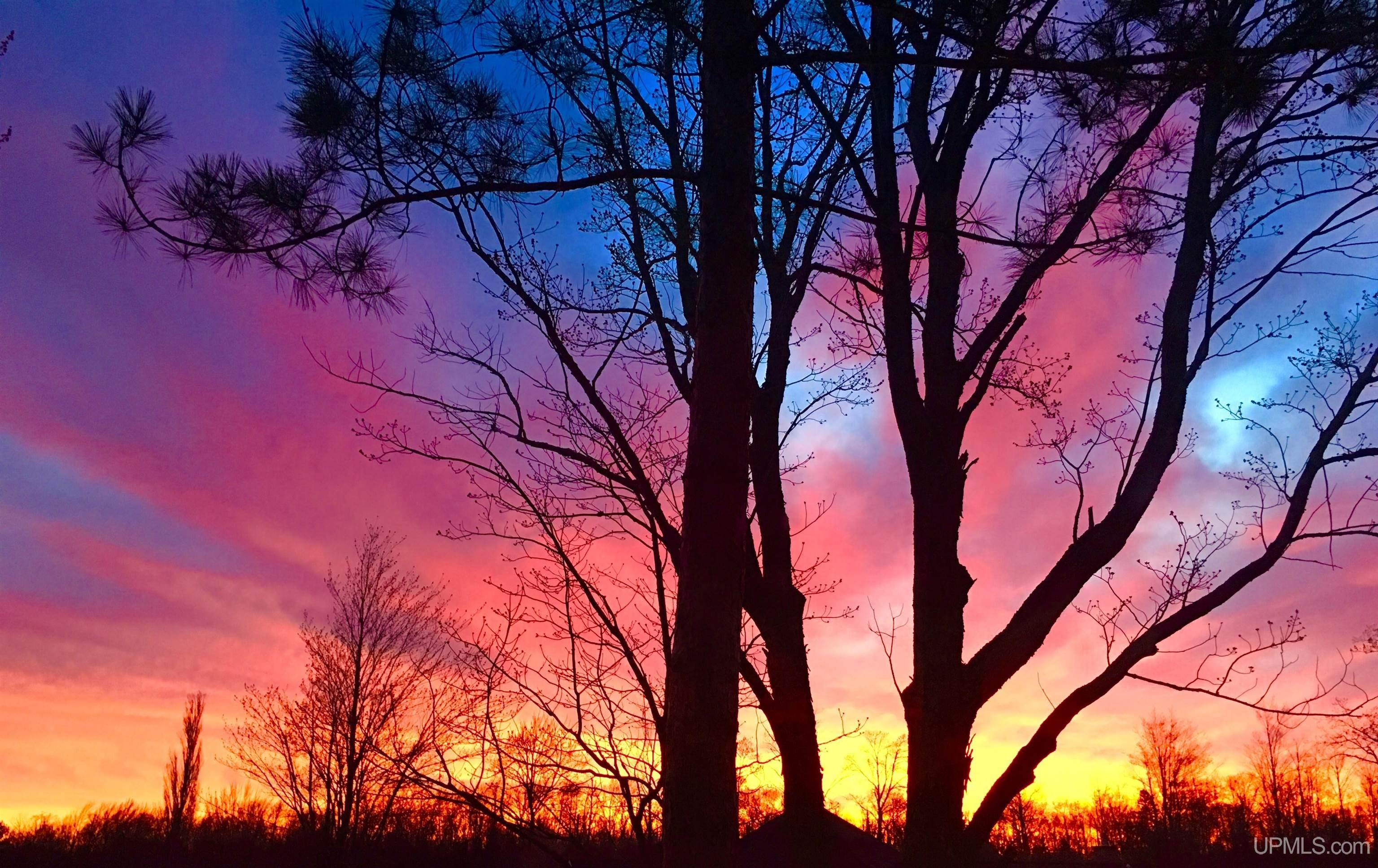 MLS 50205481 Large photo number 98 