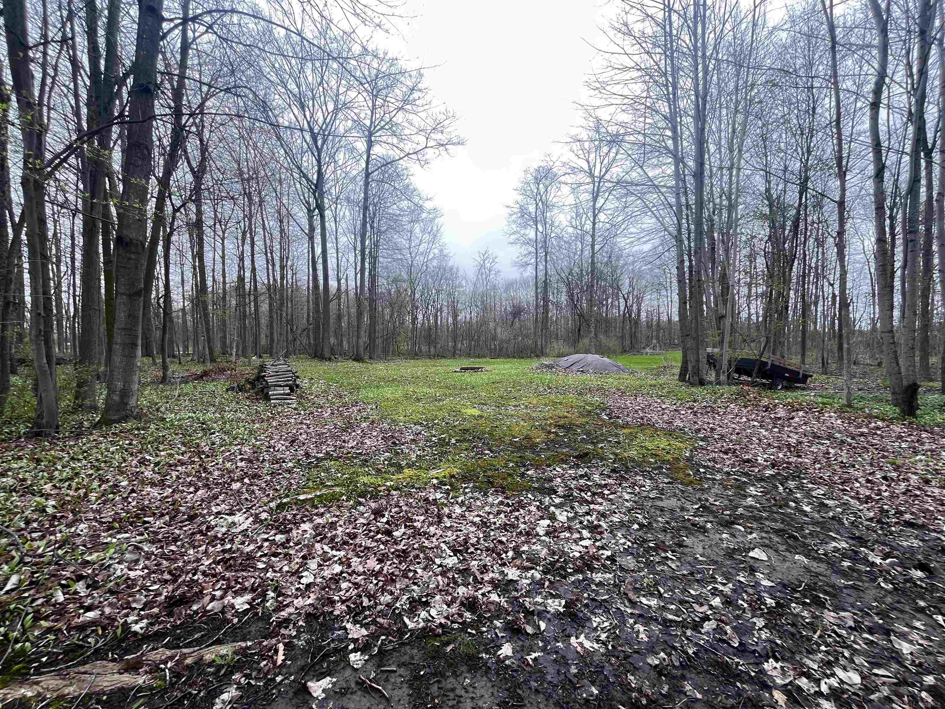 Fox Ridge Lane, Allenton, MI, 48002