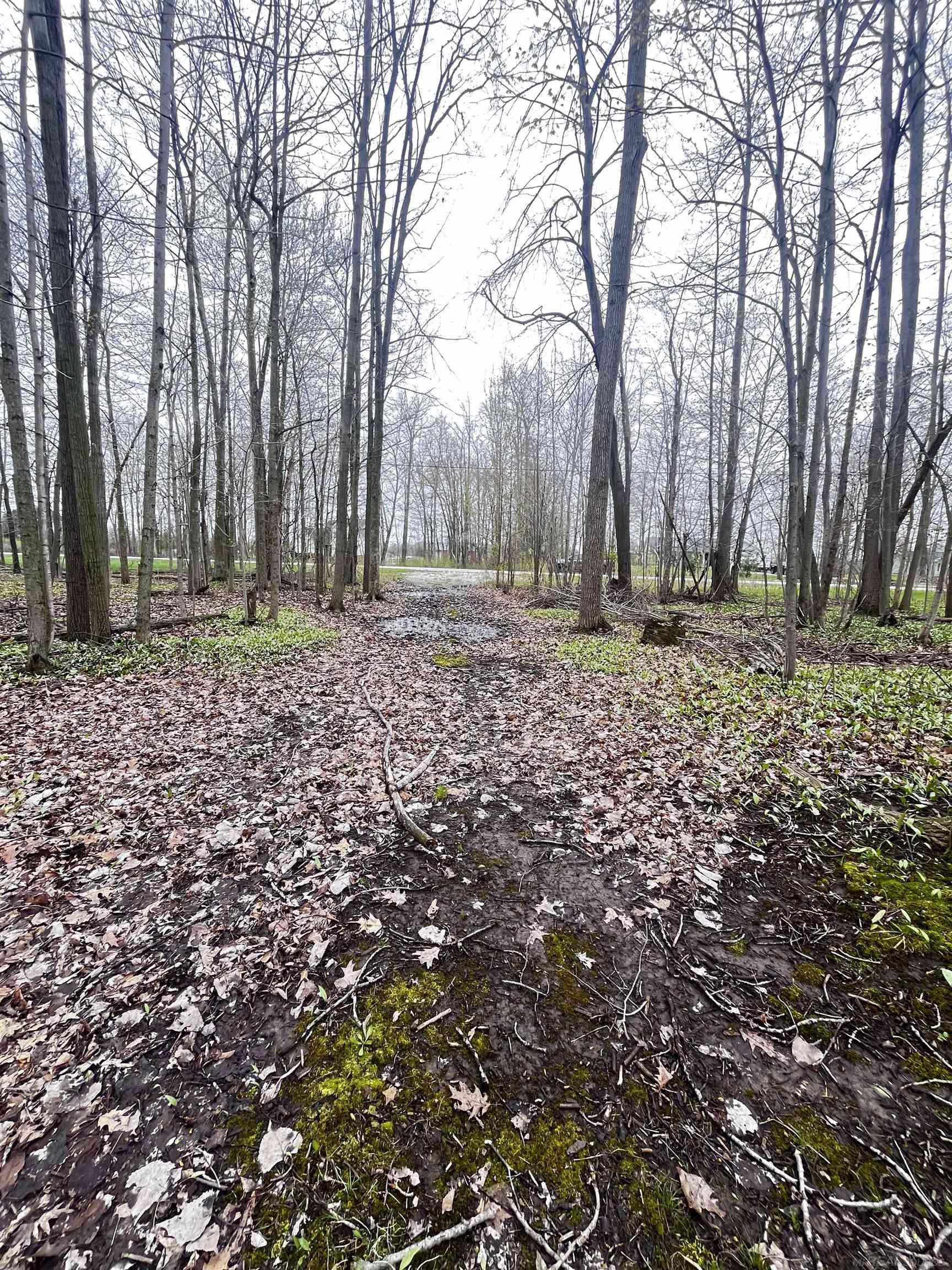 Fox Ridge Lane, Allenton, MI, 48002