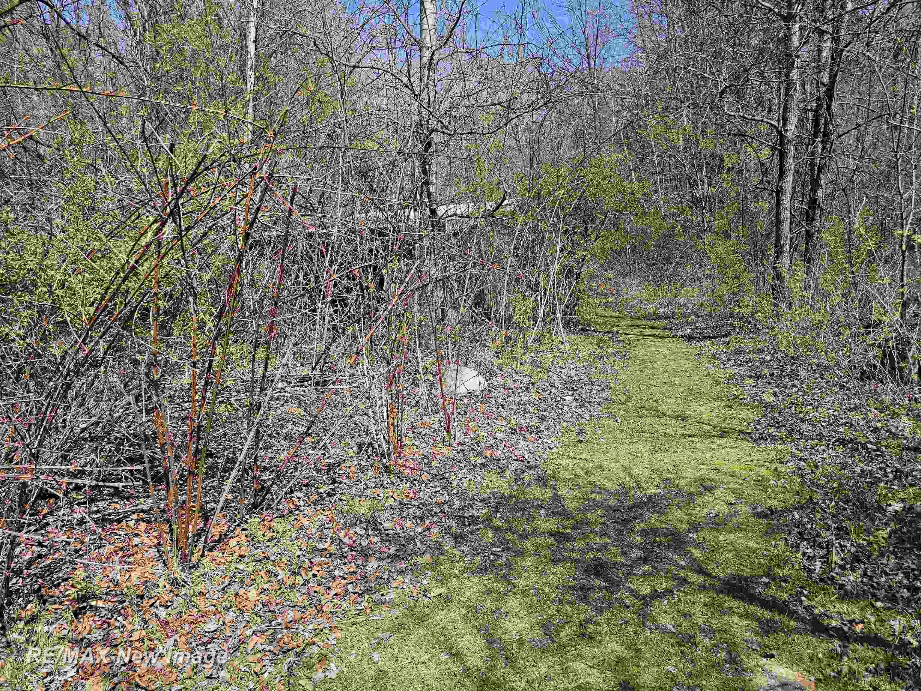 6135 Fort Road, Birch Run, MI, 48415
