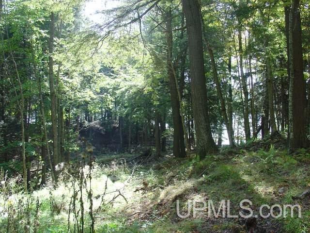 On Channel Road, Watersmeet, MI, 49969