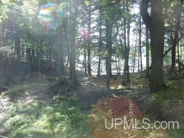 On Channel Road, Watersmeet, MI, 49969