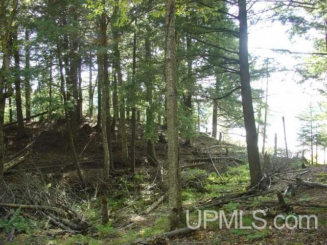 On Channel Road, Watersmeet, MI, 49969