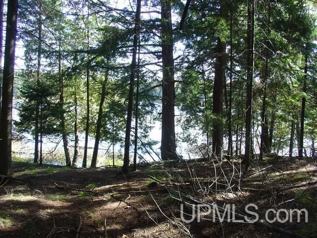 On Channel Road, Watersmeet, MI, 49969