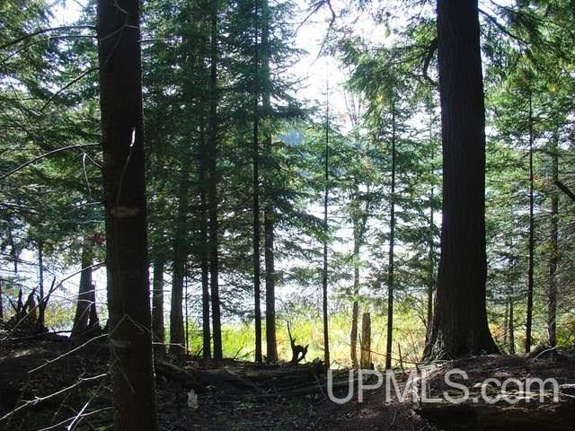 On Channel Road, Watersmeet, MI, 49969