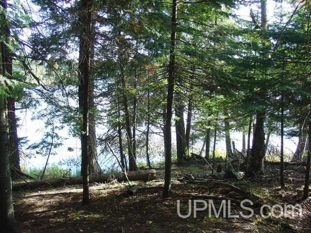 On Channel Road, Watersmeet, MI, 49969