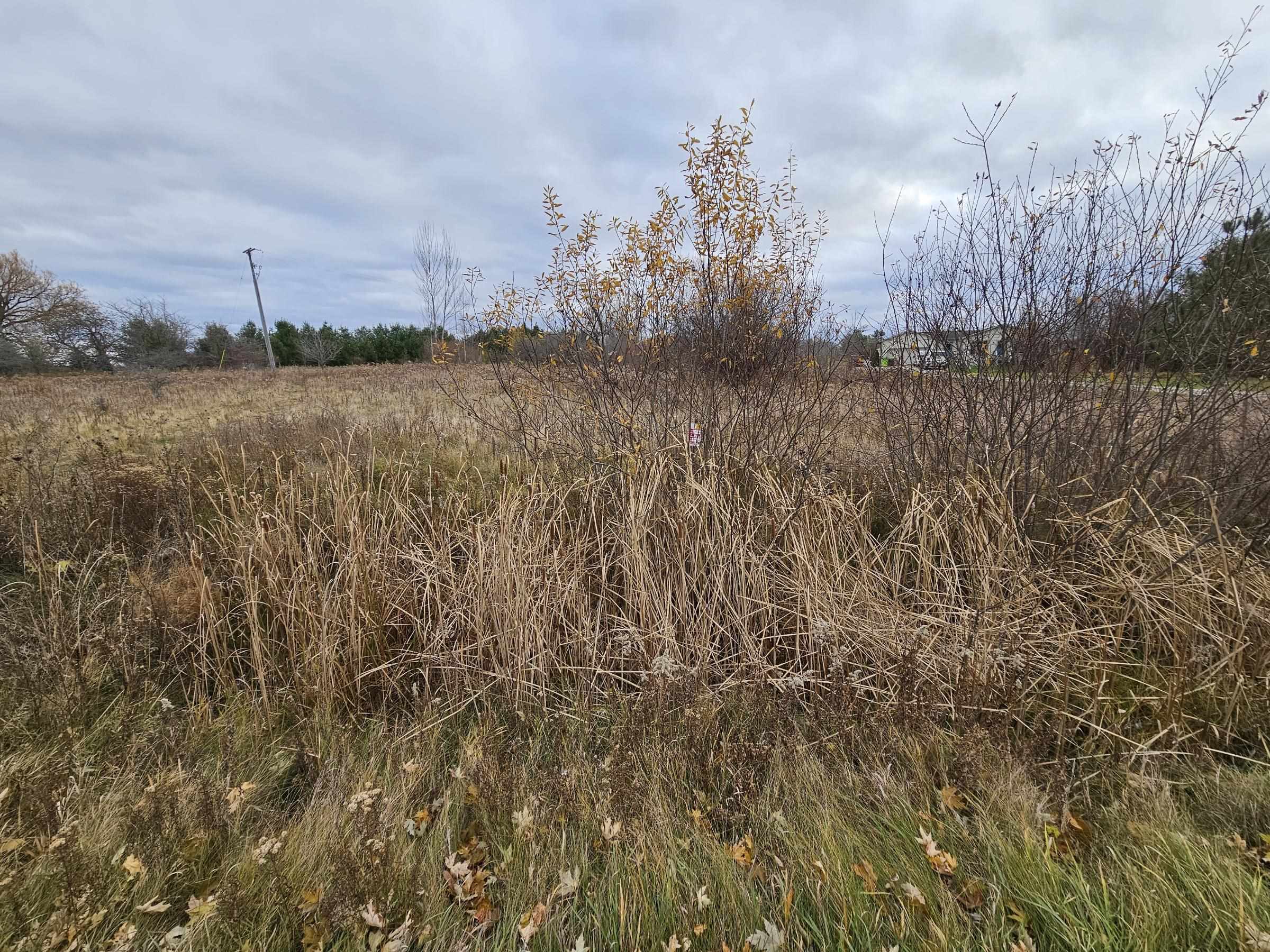 Lot 147 Heather Way, Gladwin, MI, 48624