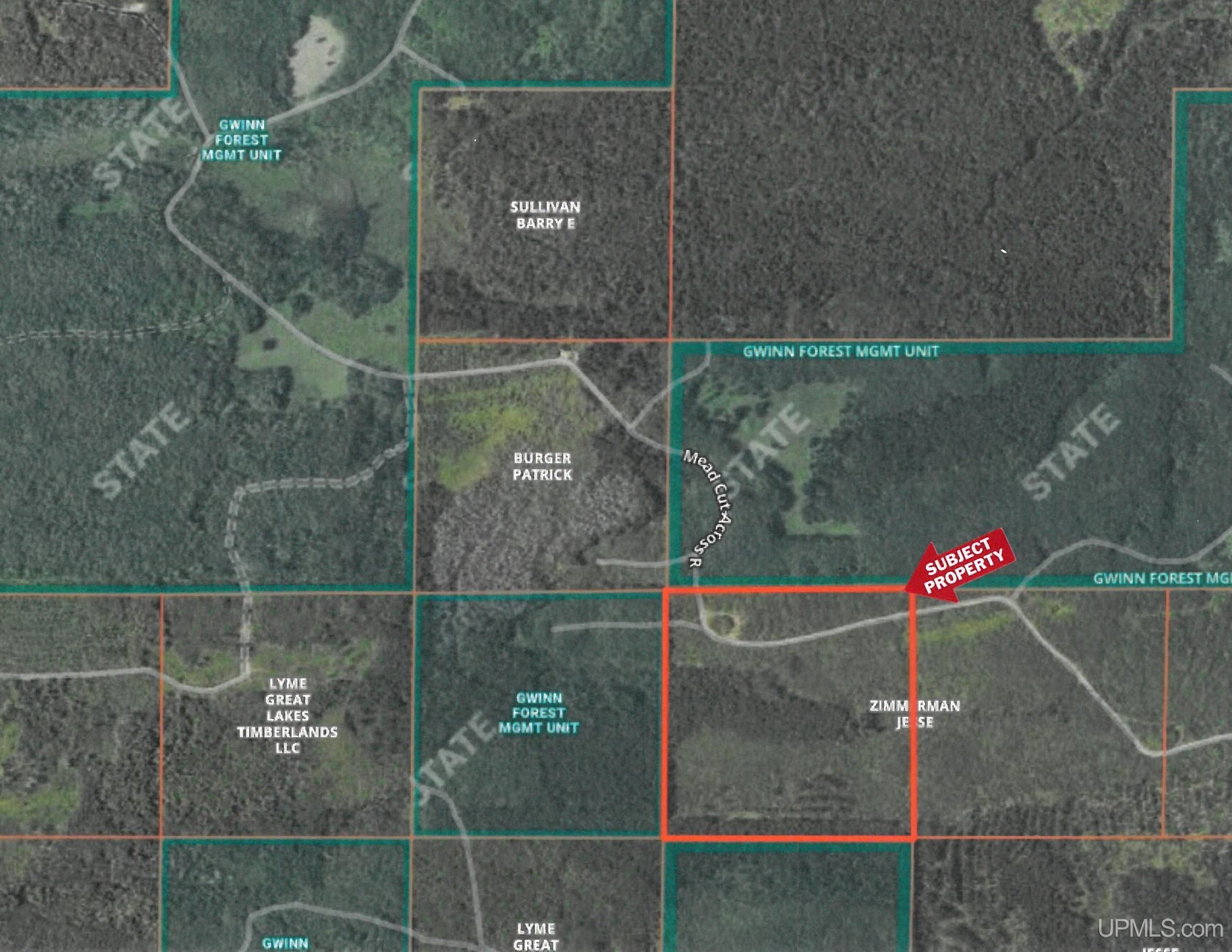 TBD Off Cr 557 40 Road, Arnold, MI, 49819