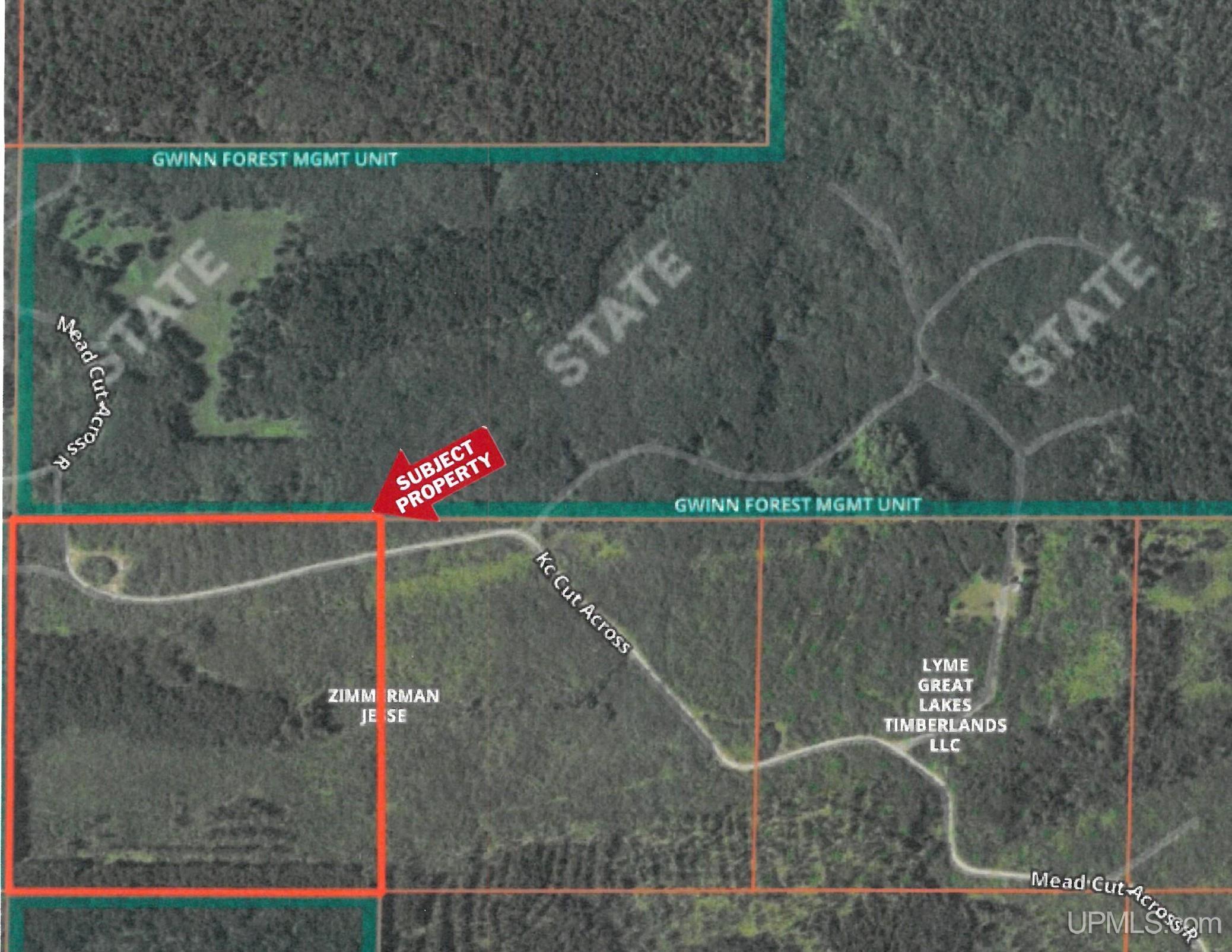 TBD Off Cr 557 40 Road, Arnold, MI, 49819