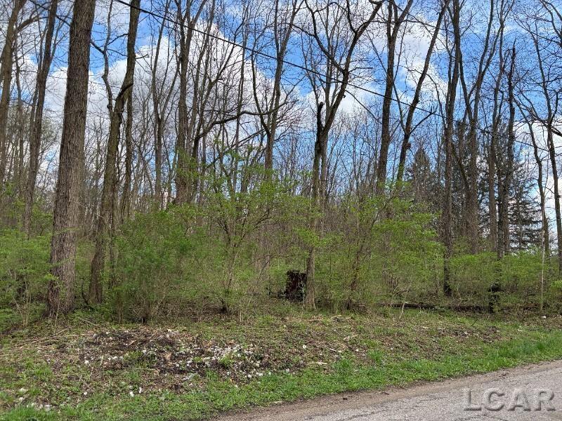 0 Black Highway, Adrian, MI, 49221