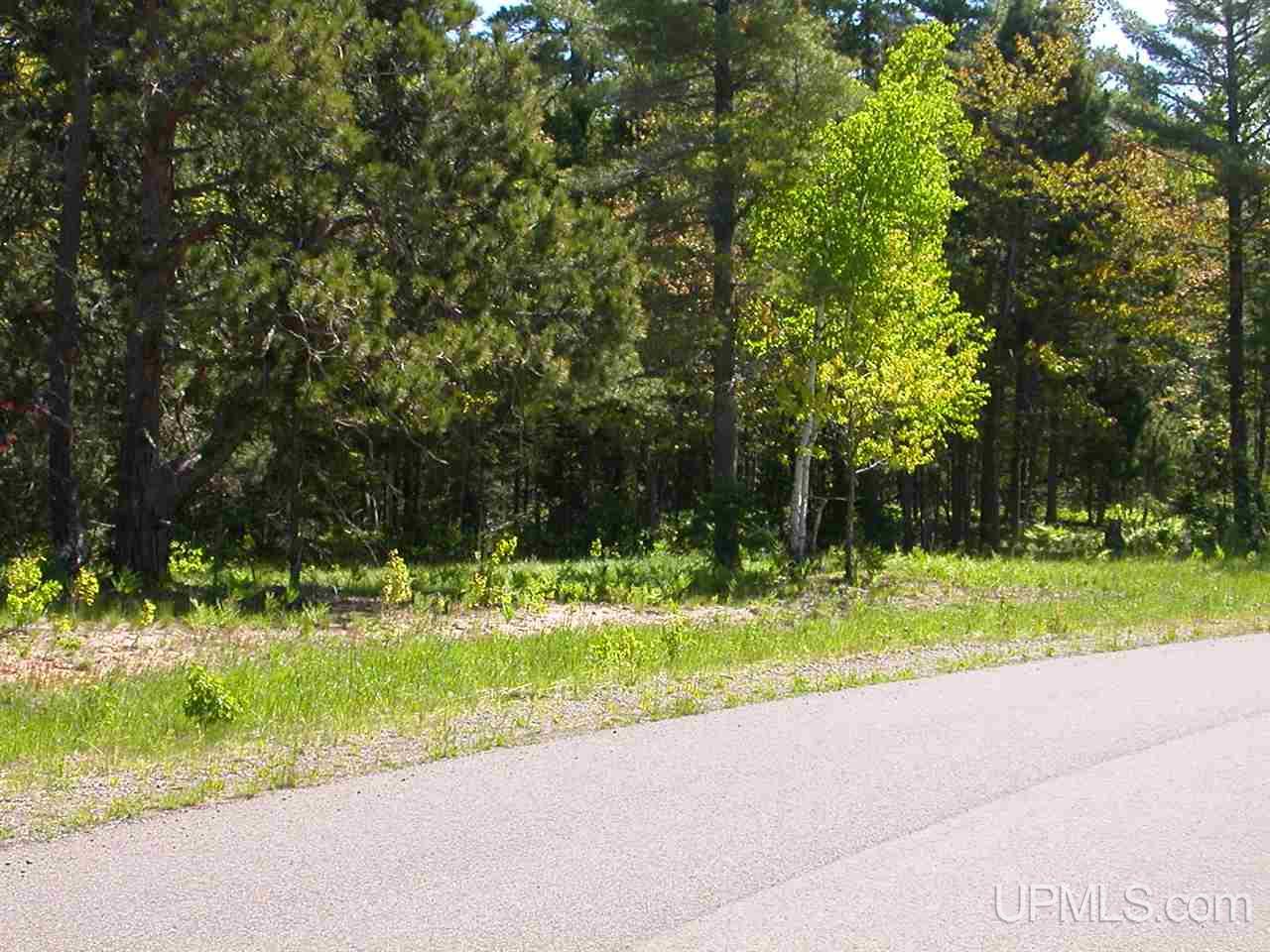 Lot 2 S Eliza Creek Lane, Eagle Harbor, MI, 49950