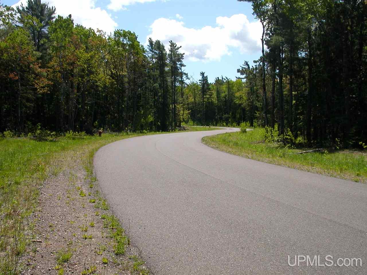 Lot 2 S Eliza Creek Lane, Eagle Harbor, MI, 49950