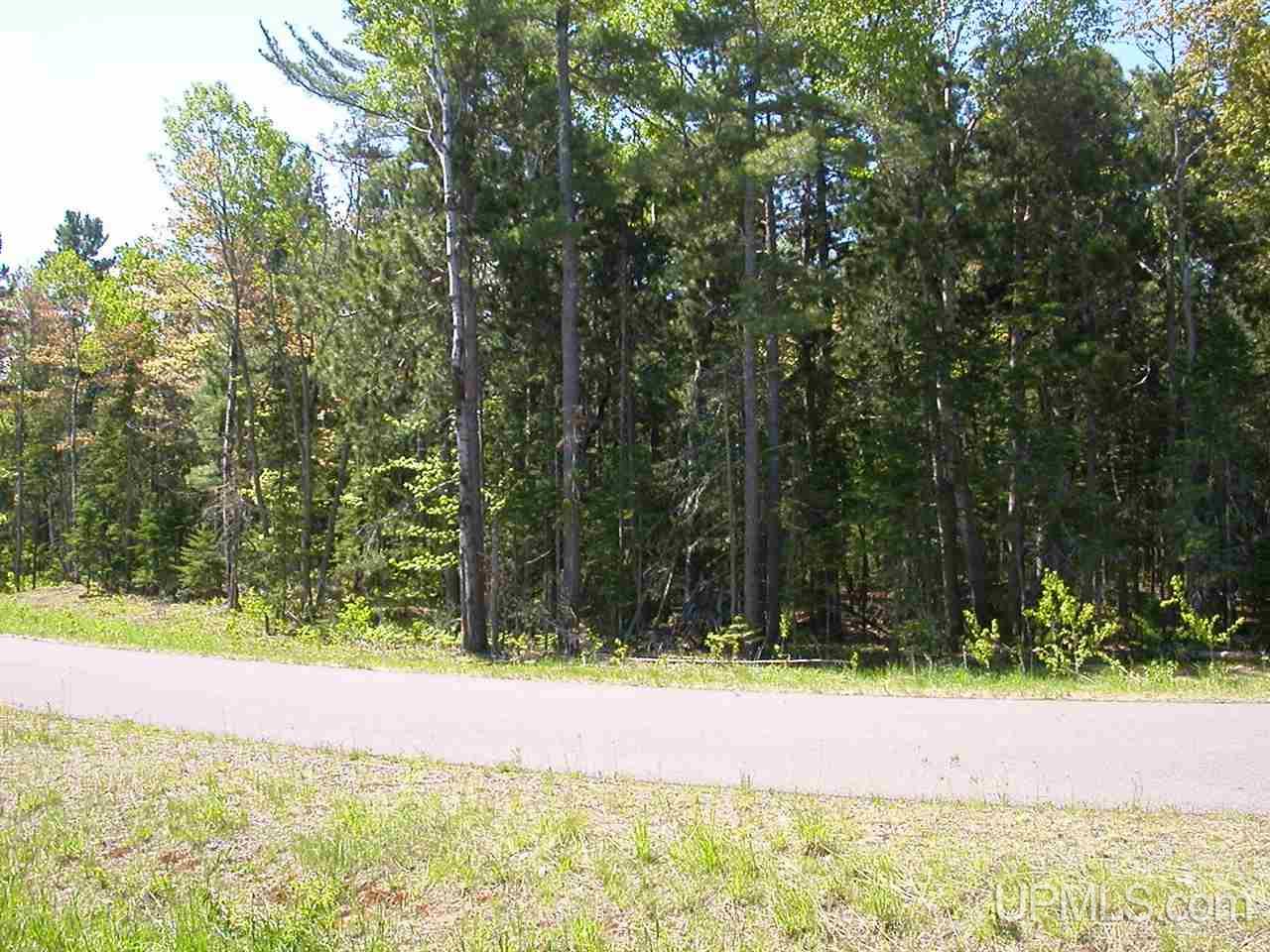 Lot 2 S Eliza Creek Lane, Eagle Harbor, MI, 49950