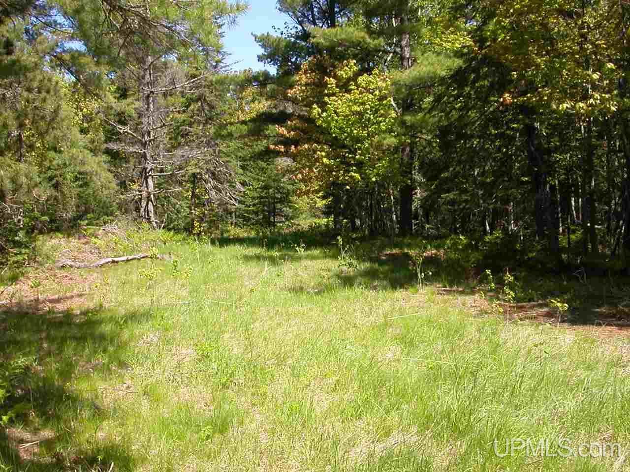 Lot 2 S Eliza Creek Lane, Eagle Harbor, MI, 49950